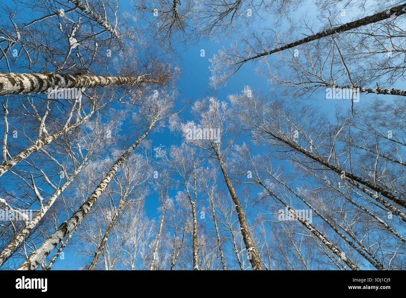 Slender lines suggesting hi-res stock photography and images - Alamy