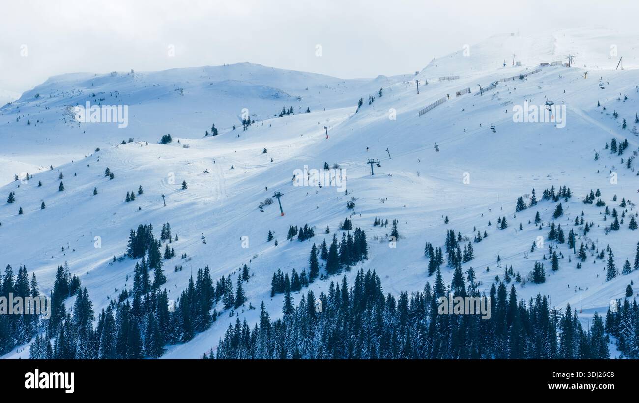 Wide aerial view of snowy mountain slopes with ski lifts and scattered trees under soft winter light and overcast sky Stock Photo
