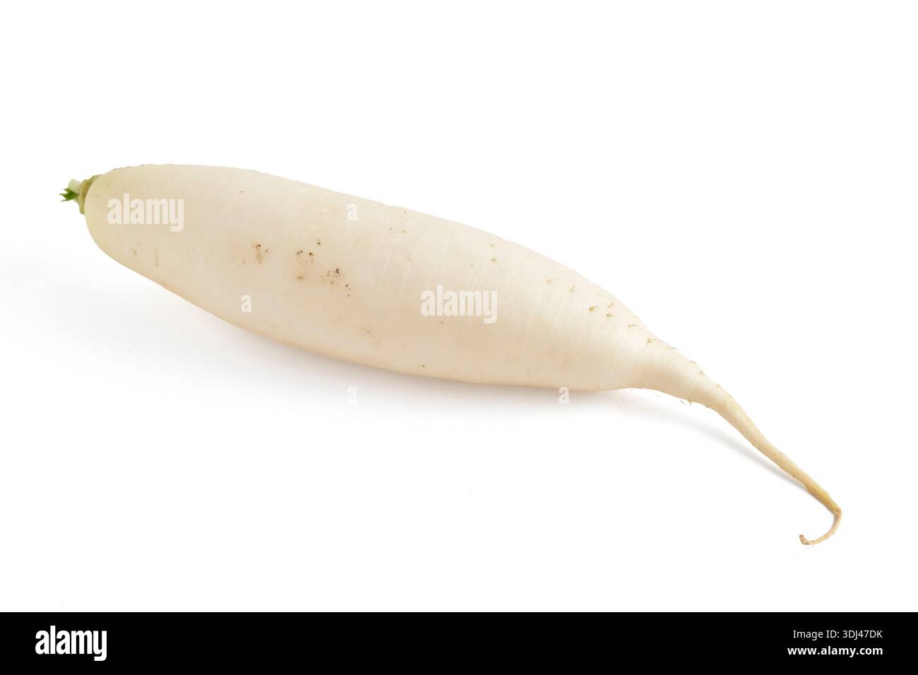 Fresh white daikon radish isolated on white background Stock Photo