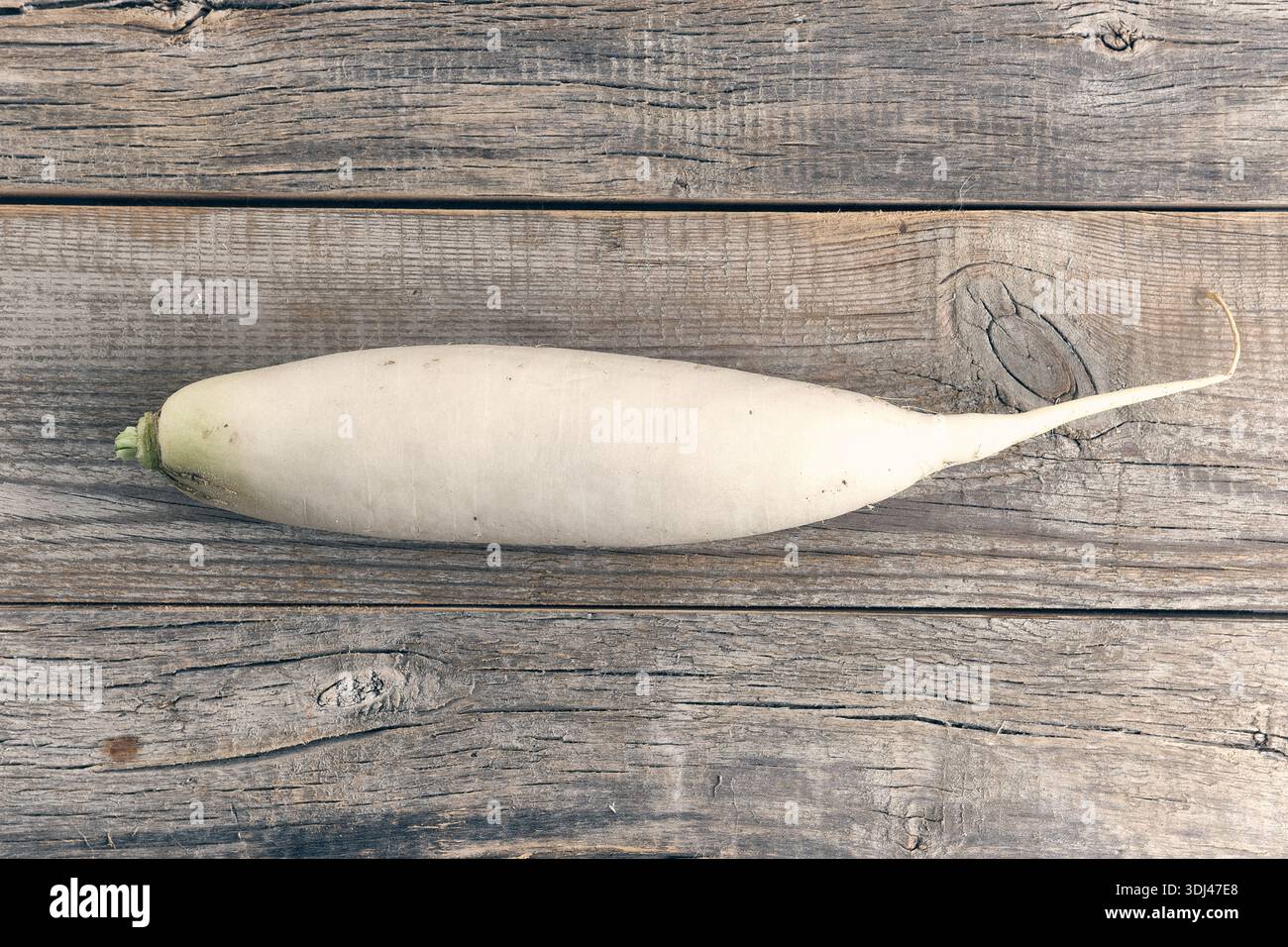 Whole daikon radish on rustic wooden table background Stock Photo