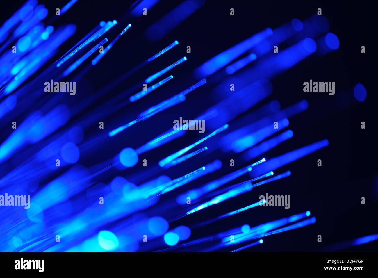 Fiber optical network cable in blue light. close up macro Stock Photo