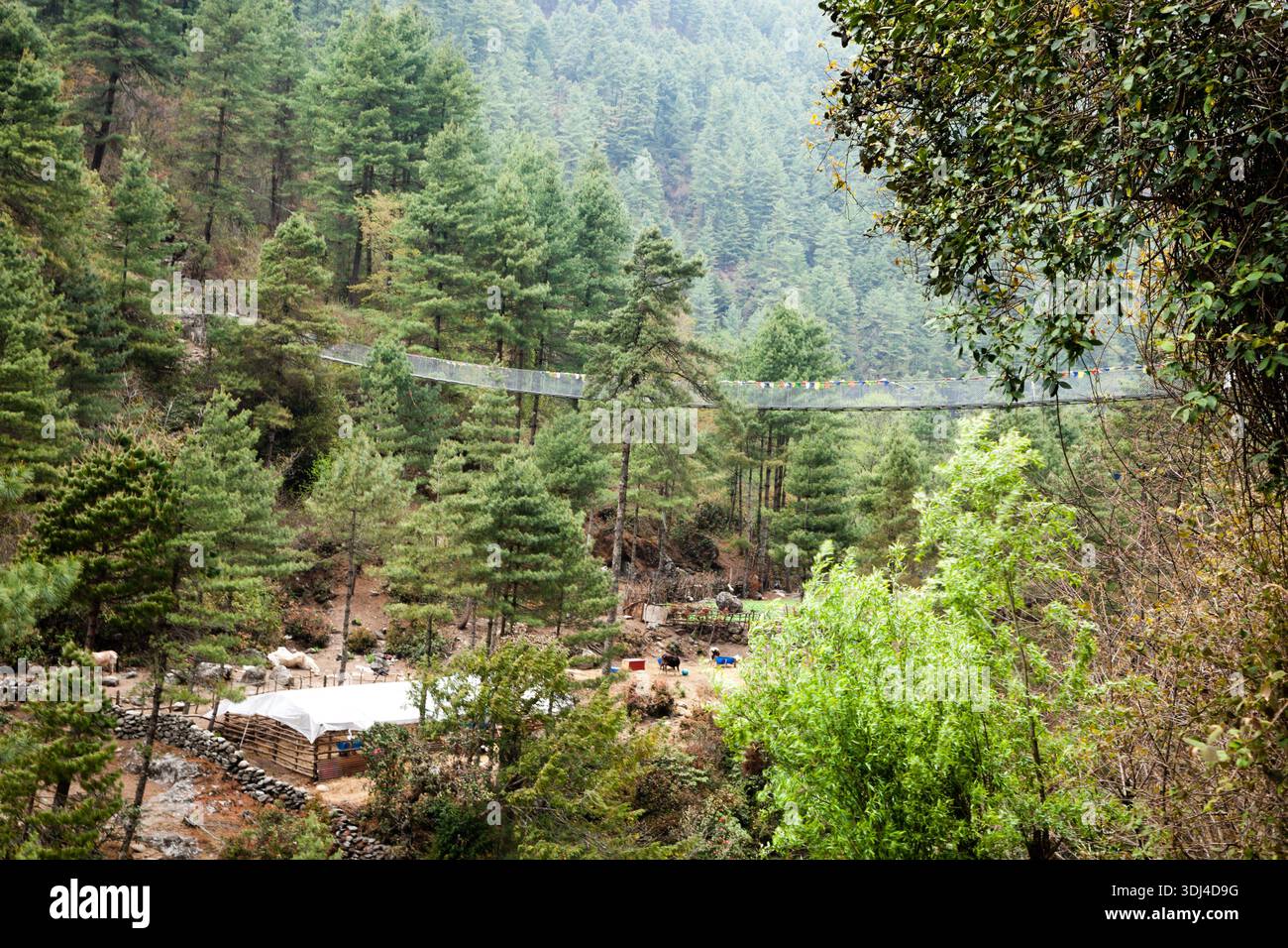 Trecking Bridge Tibetan bridge along mountain hi-res stock photography and images - Alamy