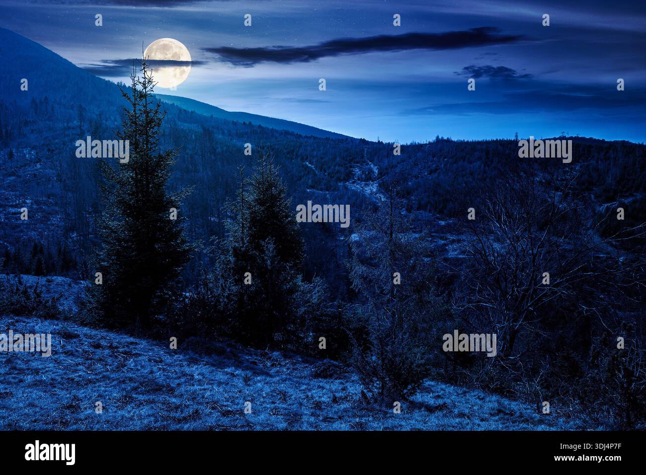 carpathian mountains in early spring at night. tree stumps on rolling hills in full moon light. forest clearing. deforestation landscape under blue sk Stock Photo