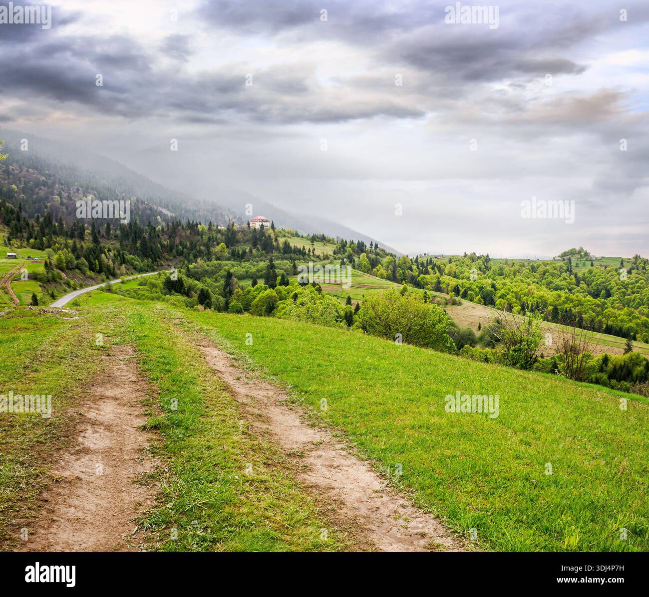 dirt road winding through green rolling hills. rural landscape in carpathian mountain range of ukraine. countryside vista under overcast sky in spring Stock Photo