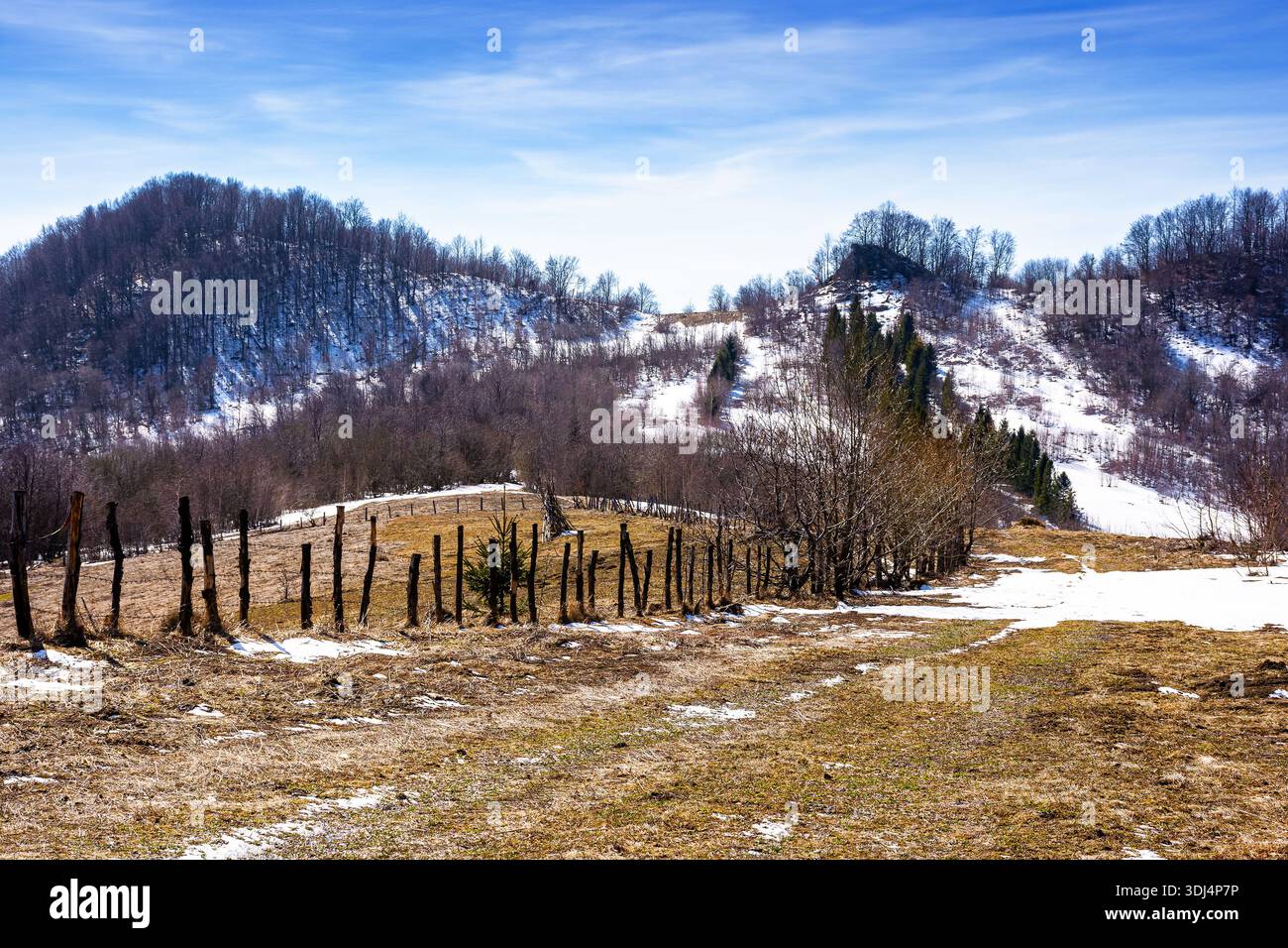 rural landscape of carpathian mountains in early spring under blue sky. snow covered hill with barbed wire fence on a sunny day. green environment sus Stock Photo
