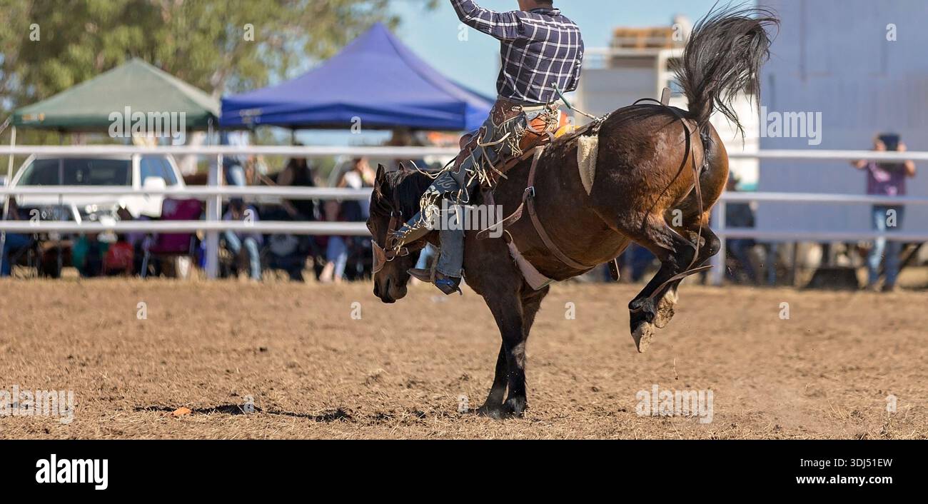 Dramatic bronc riding moment with the cowboy’s arm raised for balance ...
