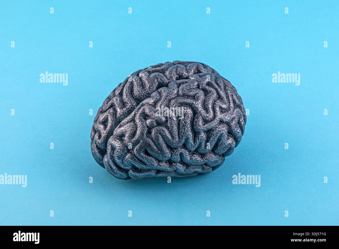 Human silver brain model isolated on blue background with clipping path Stock Photo