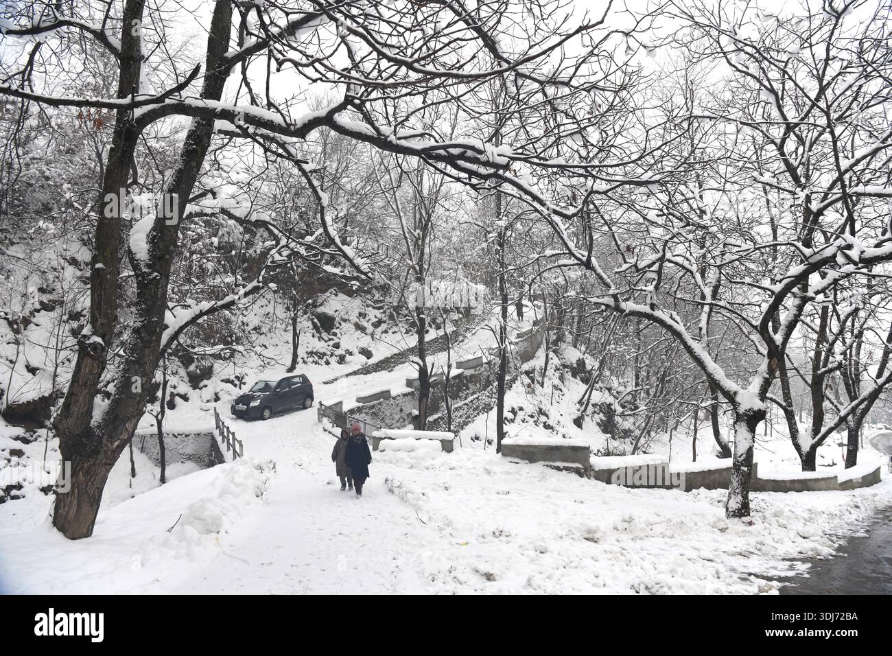 Snowfall 1 jpg hi-res stock photography and images - Alamy