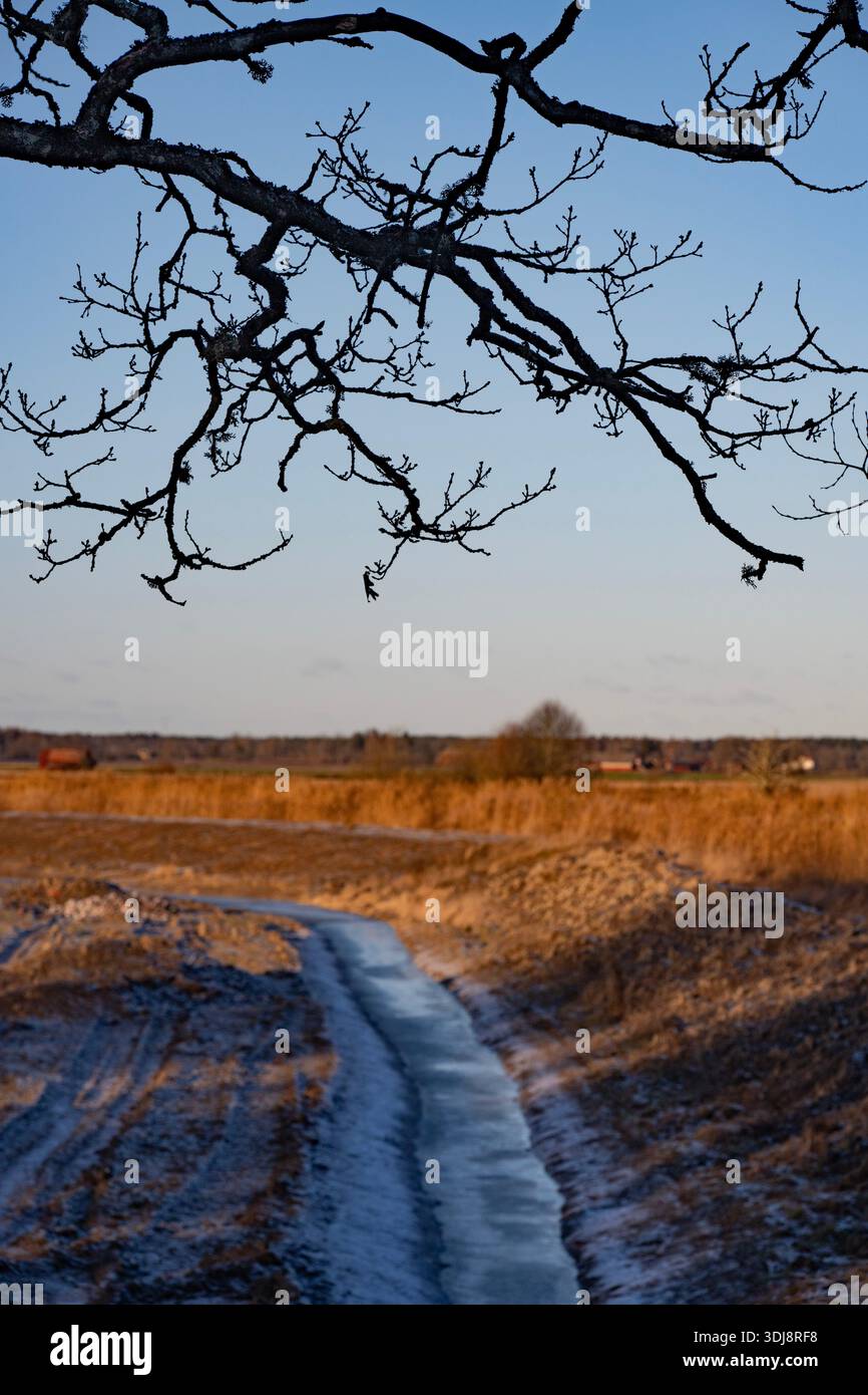 Protected nature area hi-res stock photography and images - Alamy