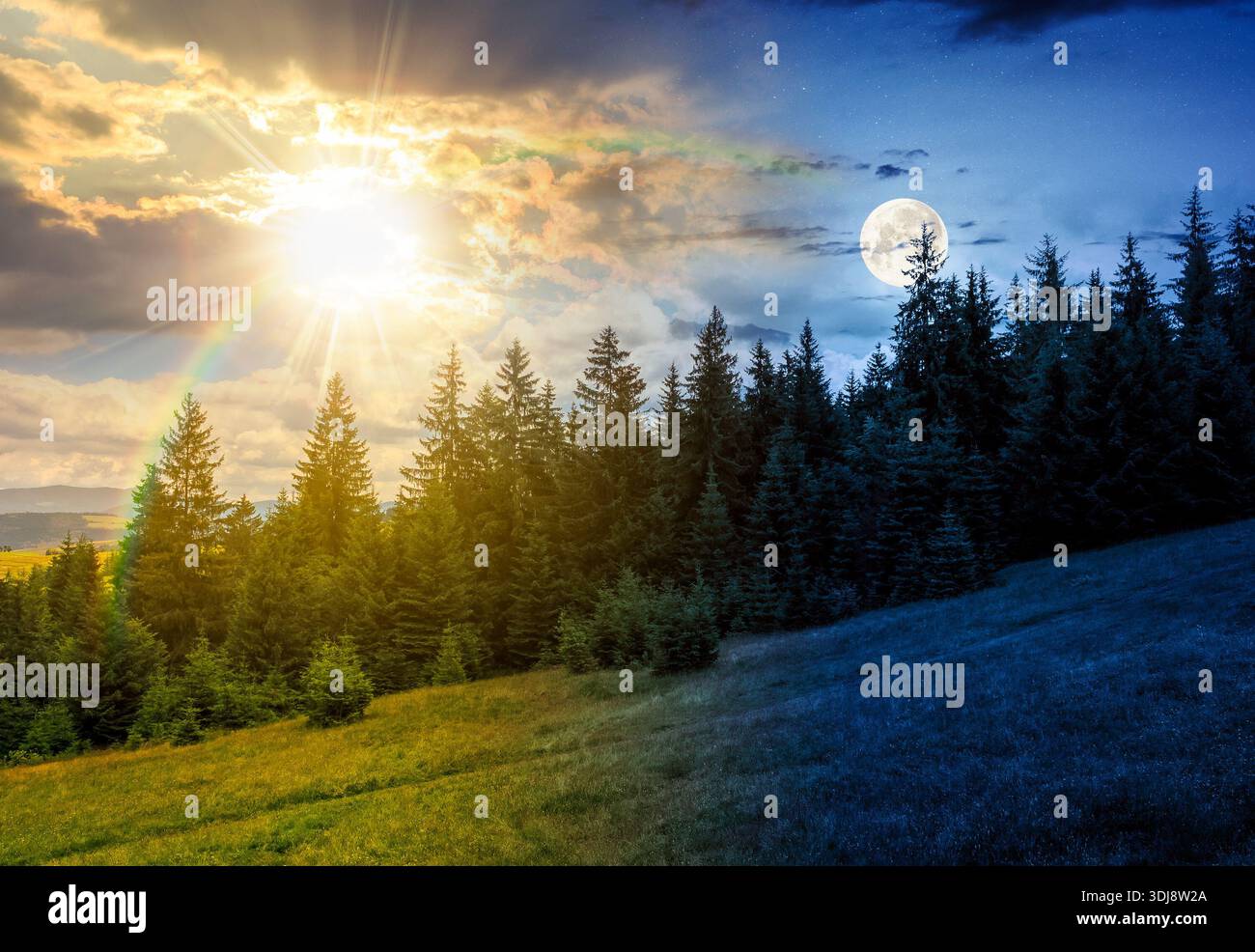 green slope of mountain range with coniferous forest. day and night time change concept. highland landscape under cloudy sky in summer with sun and mo Stock Photo