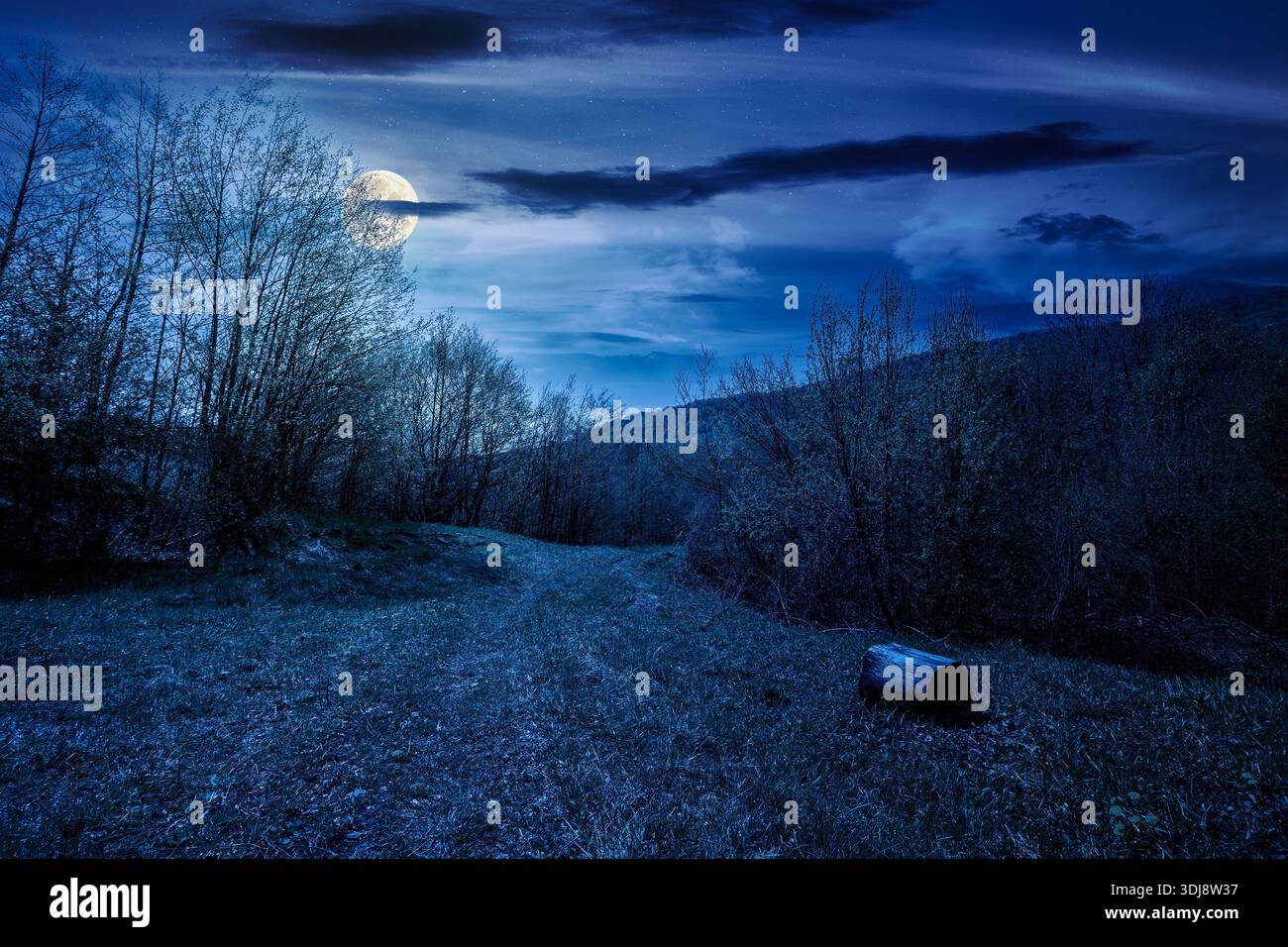 mountain landscape with green grass on a forest glade in spring at night. beautiful nature scenery with beech trees under dark sky in full moon light. Stock Photo