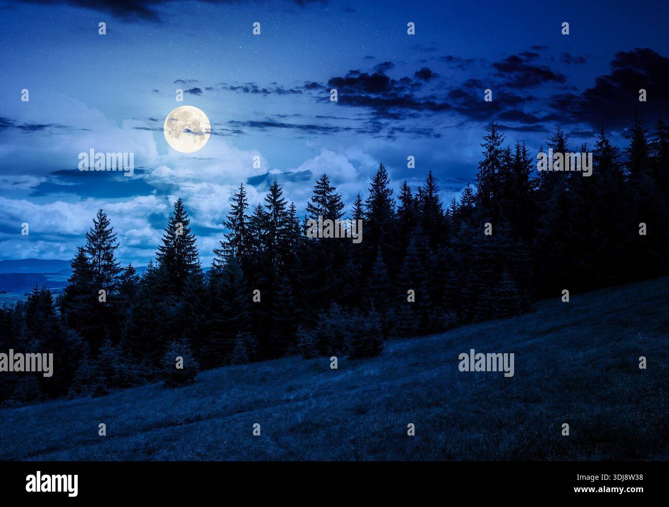 green slope of mountain range with coniferous forest at night. highland landscape under cloudy sky in summer full moon light. wonderful weather. backd Stock Photo