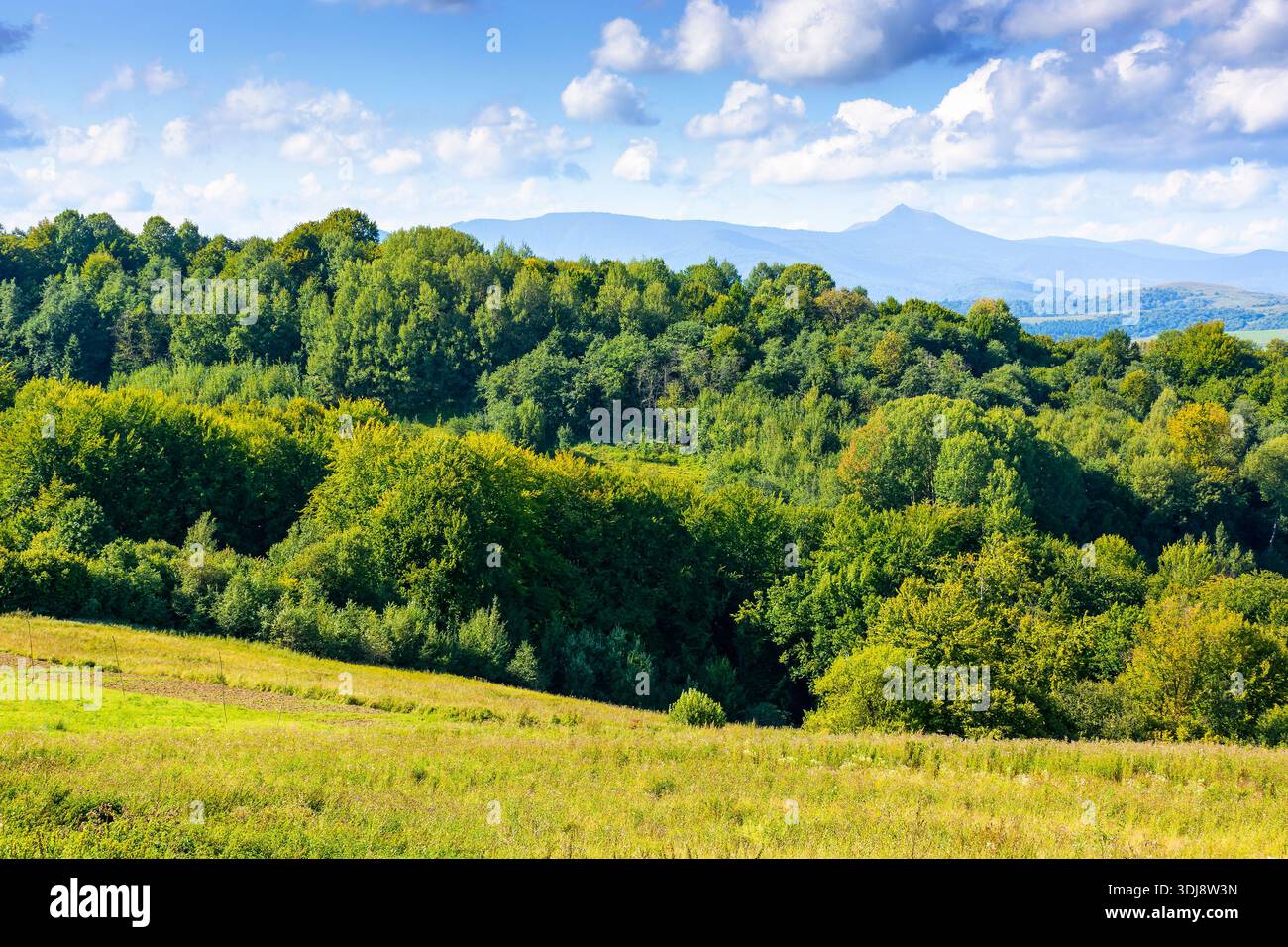 rural landscape in carpathian mountains on a sunny day. green grass on rolling hill and distant peak under cloudy sky in early autumn. countryside sce Stock Photo