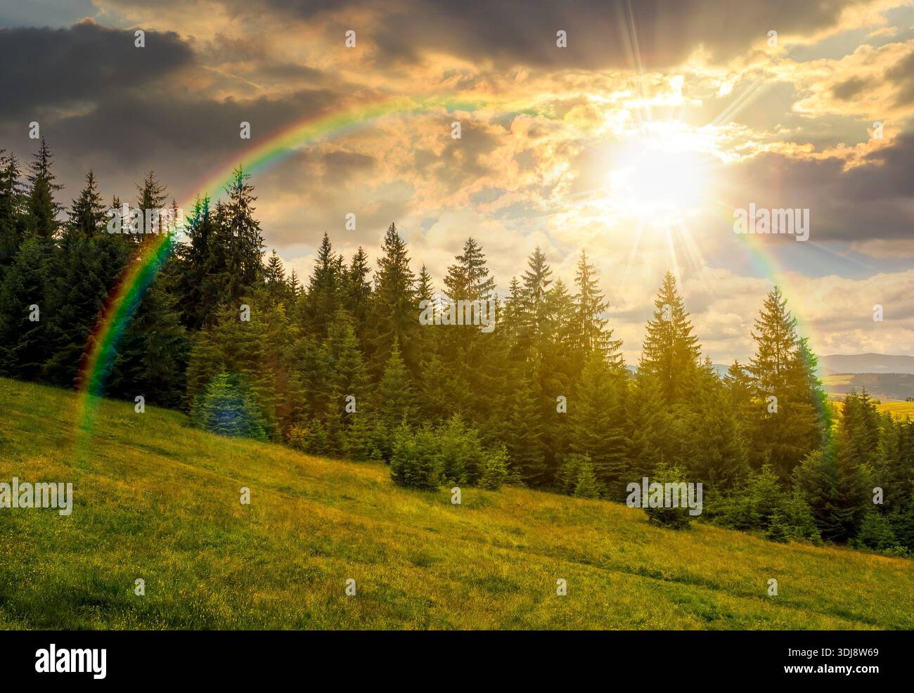green slope of mountain range with coniferous forest at sunset. highland landscape under cloudy sky in summer evening light. wonderful weather. timele Stock Photo
