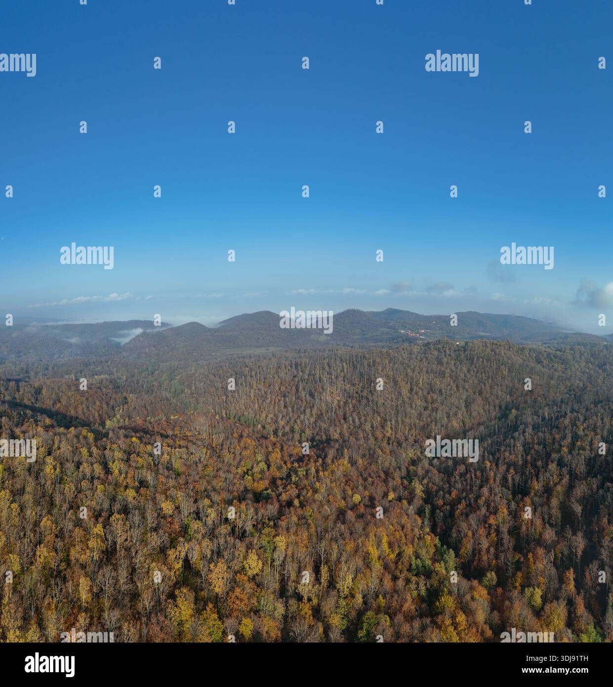 Drone flight over colourful forest hi-res stock photography and images ...