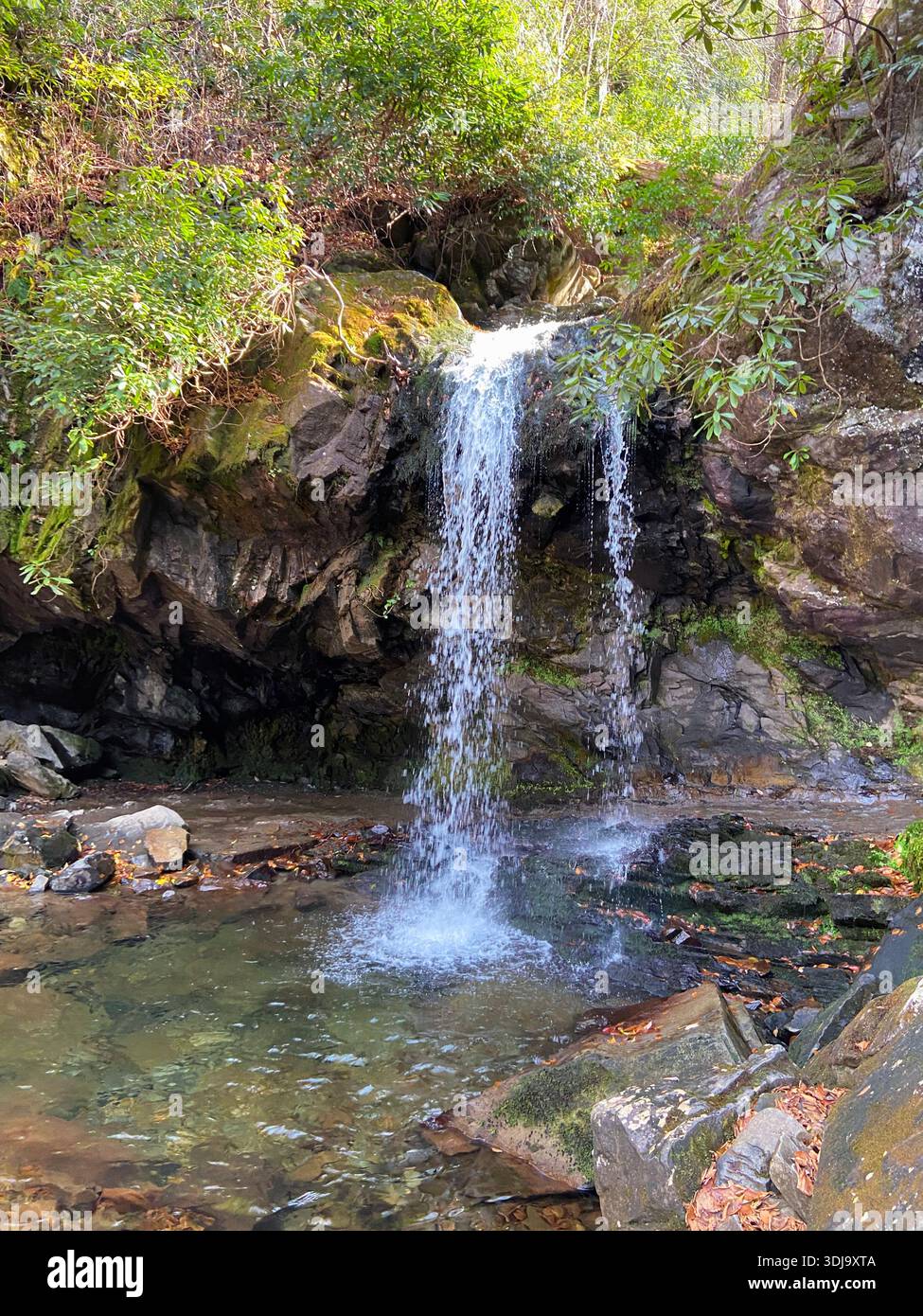 Grotto Falls in Smokey Mountains National Park - Smartphone Captured Stock Image