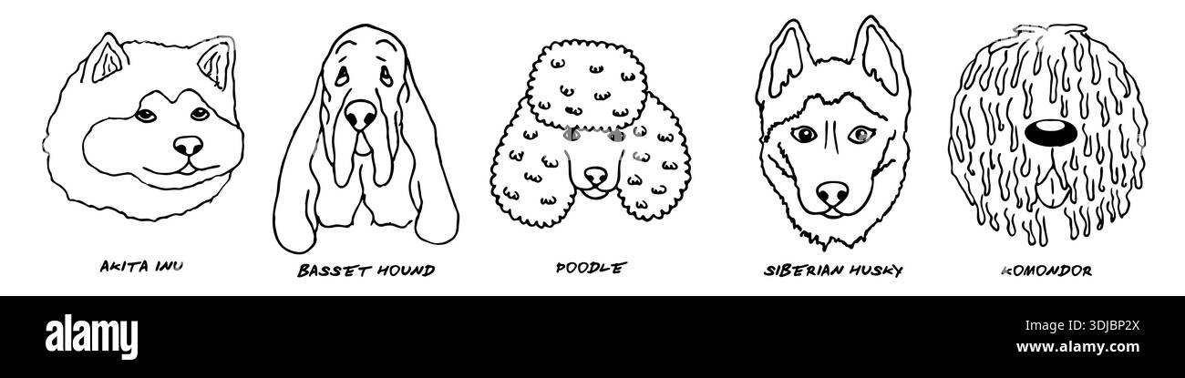 Doodle heads of different breeds dogs set Stock Vector Image & Art - Alamy