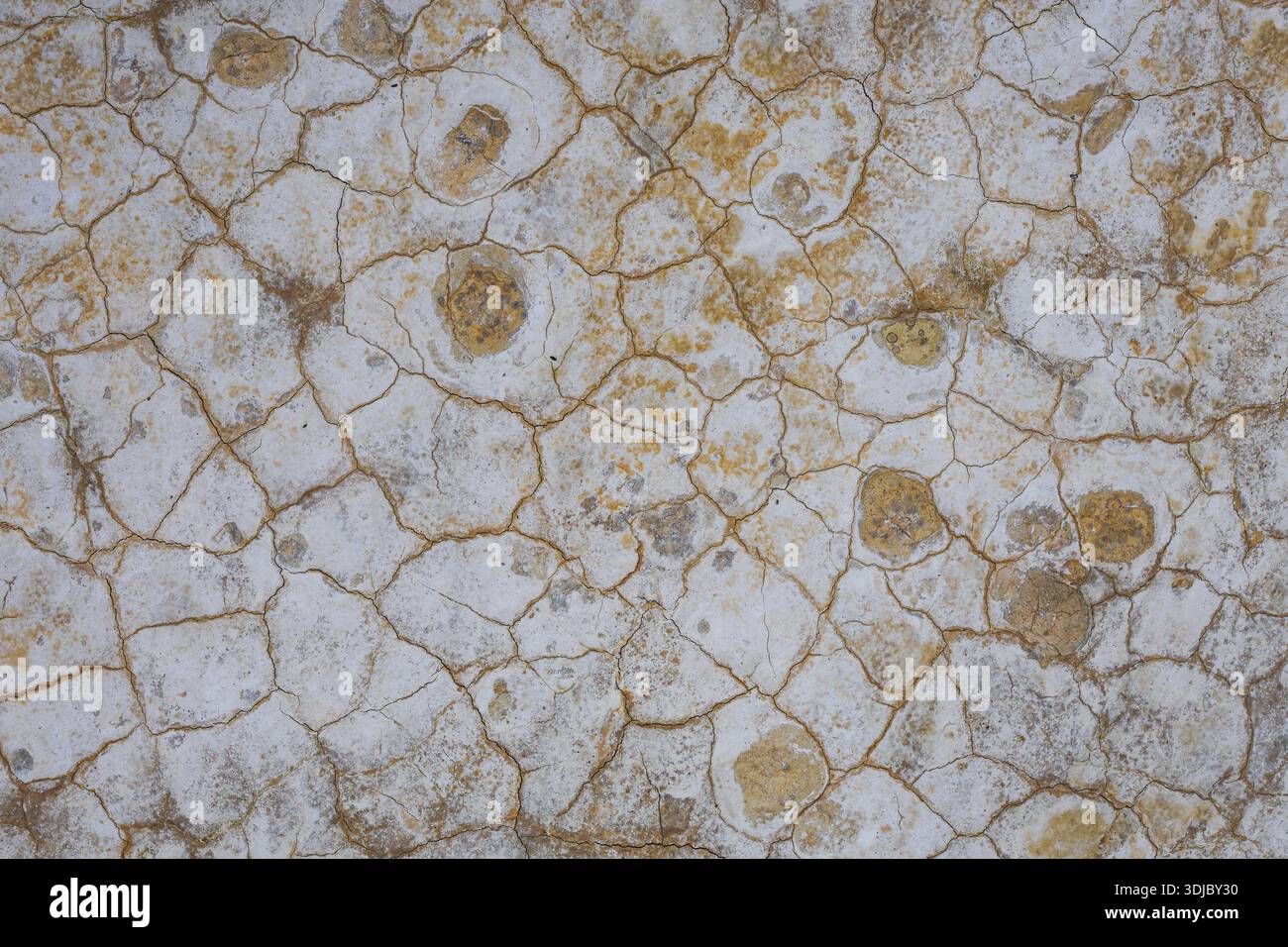 View of parched earth presenting a cracked, mosaic-like surface with golden hues peeking through the stark white, arid ground, Bardenas Reales, Navarr Stock Photo