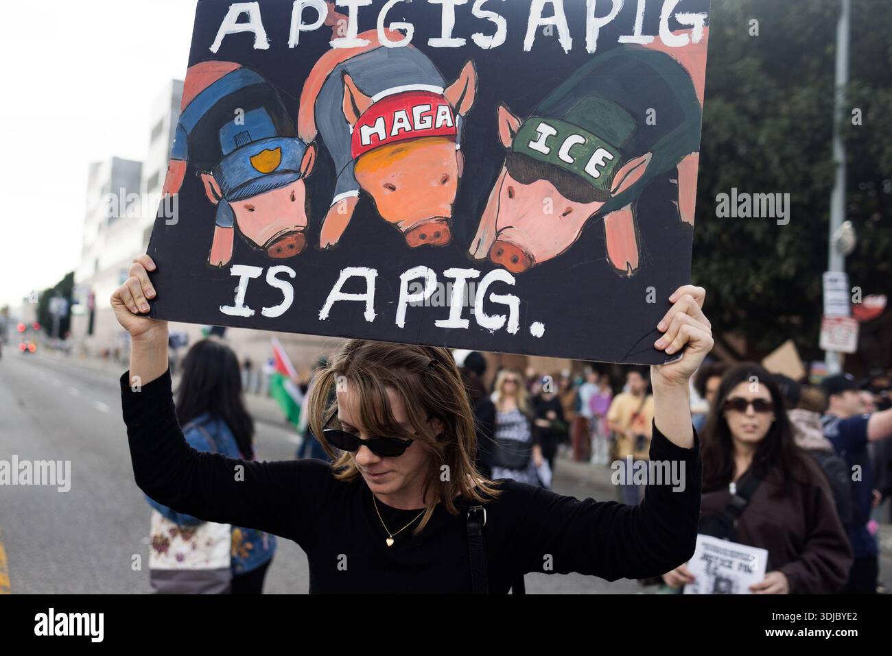 Pigs Protesting A protester holds a hand-painted sign reading “A PIG IS A PIG ...