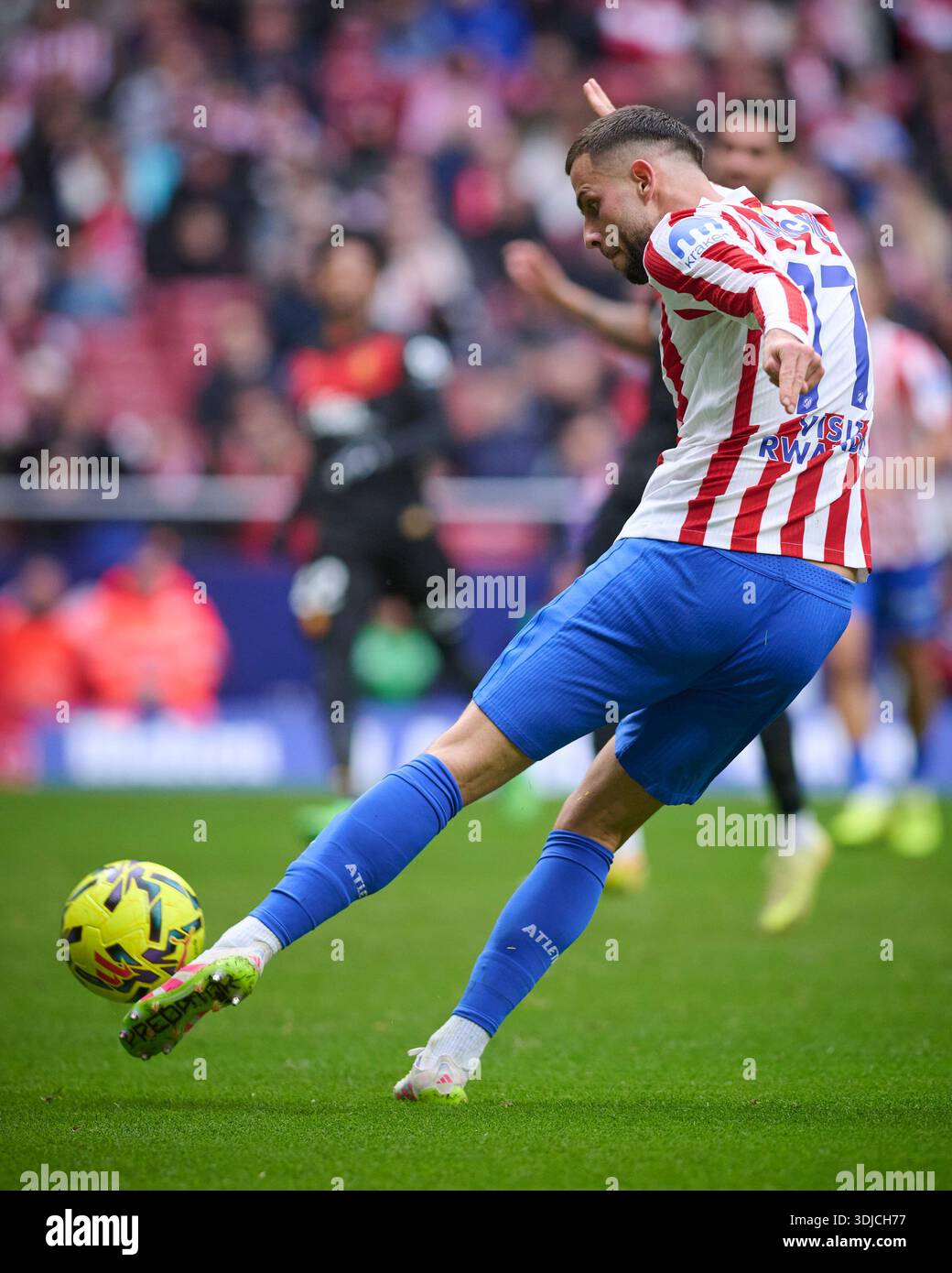 David Hancko Atletico de Madrid's David Hancko during La Liga match. January 25 ...