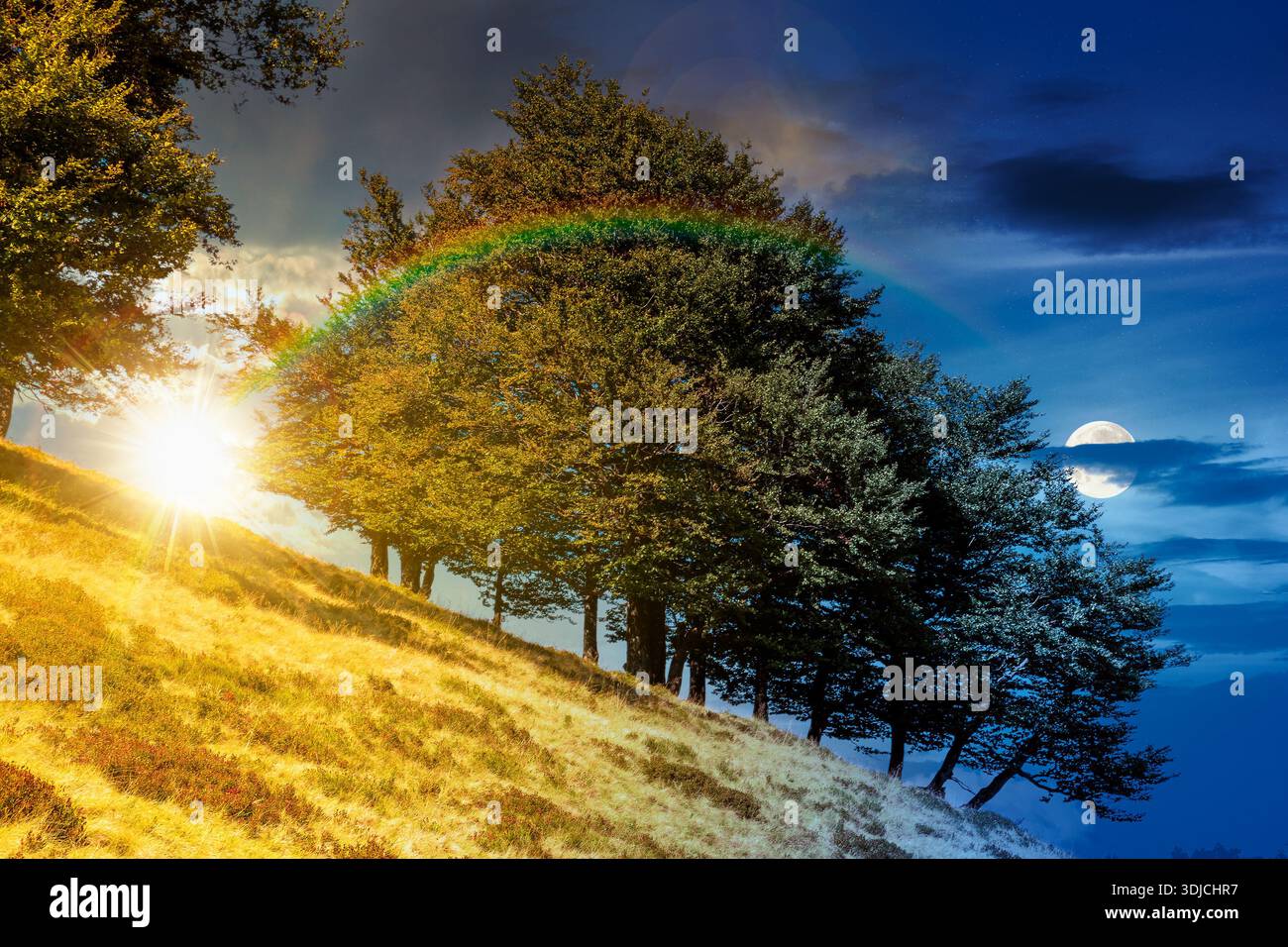 beech forest on the hill on summer solstice. day and night time change concept. mountains under blue sky with sun and moon at twilight. beautiful back Stock Photo