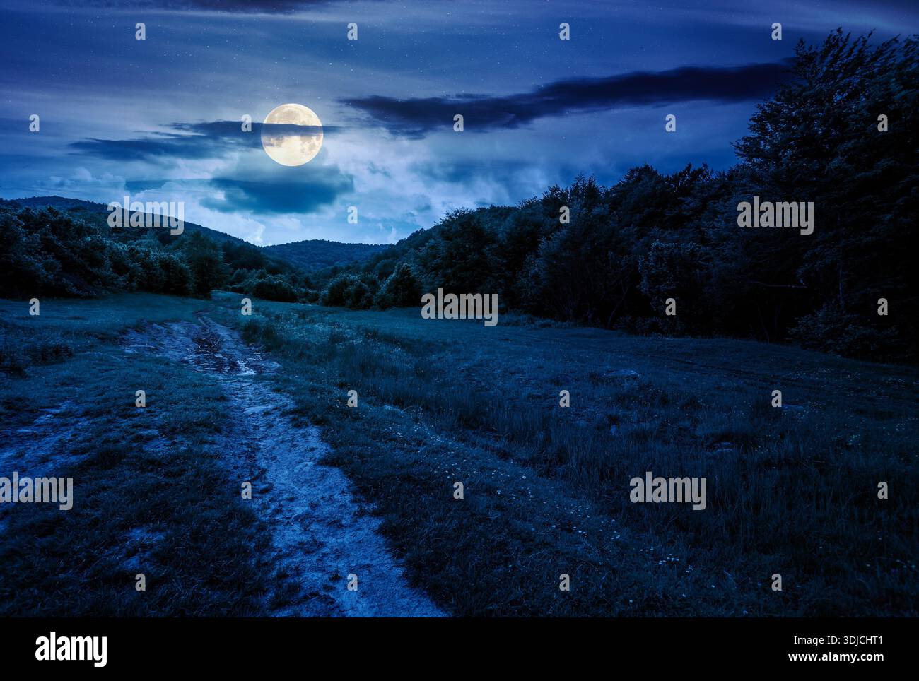 country dirt road hides in the woods at night. path through grassy alpine pasture in summer full moon light. creepy countryside scenery in mountains. Stock Photo