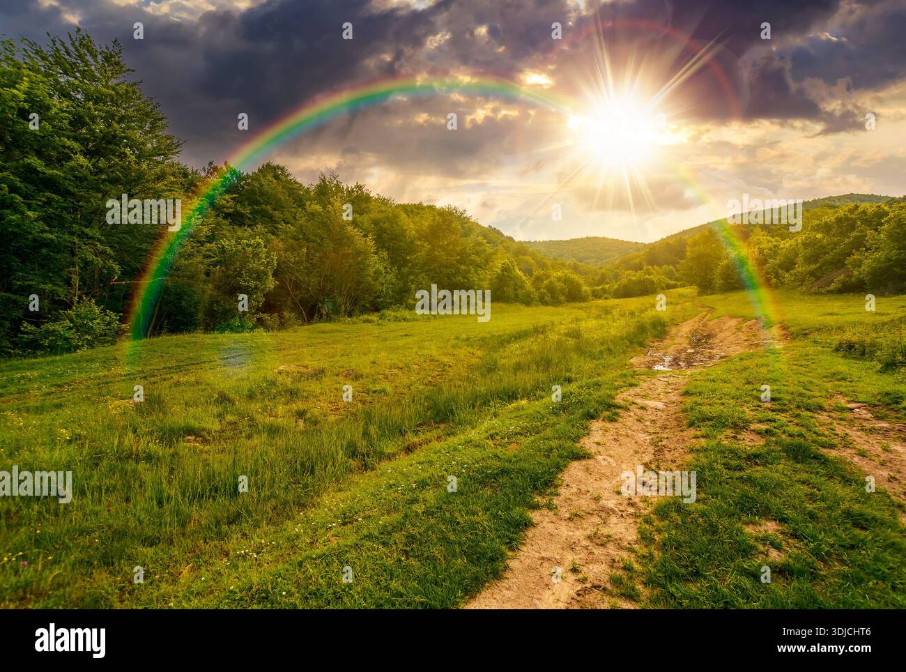 country dirt road hides in the woods at sunset. path through grassy alpine pasture in summer evening light. lovely countryside scenery in mountains. d Stock Photo