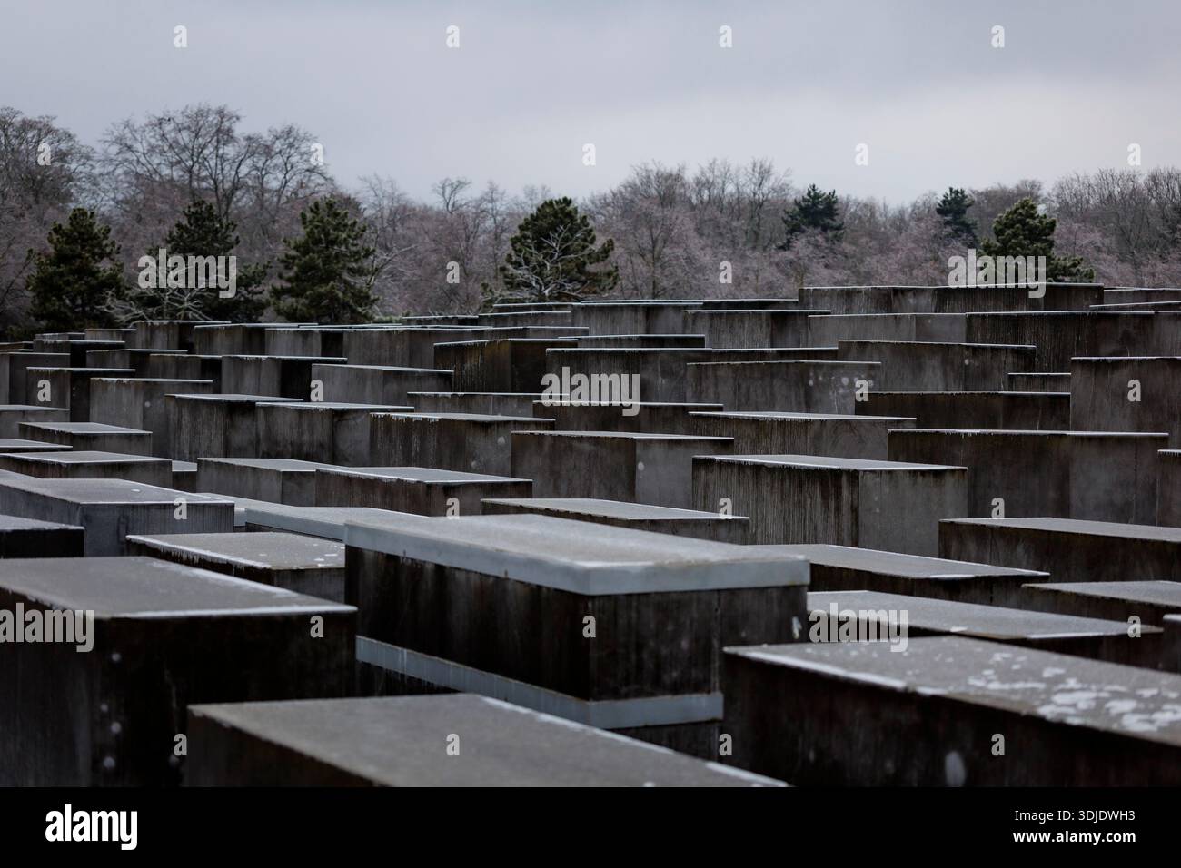 Symbolic photo for Holocaust Remembrance Day on January 27th - the ...