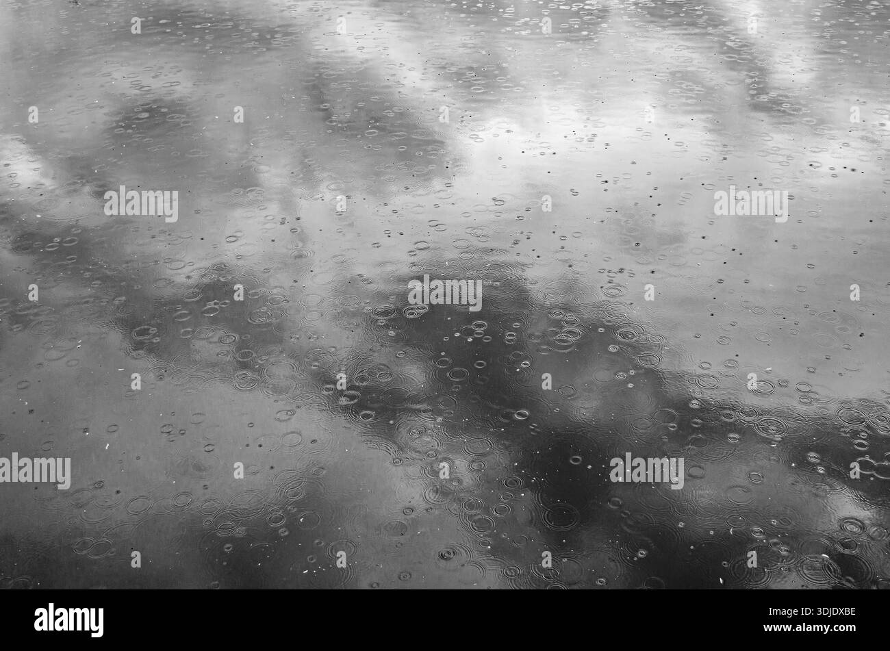 Black and white close-up of raindrops hitting water and forming circular ripples on the surface, creating a moody abstract rainy background Stock Photo