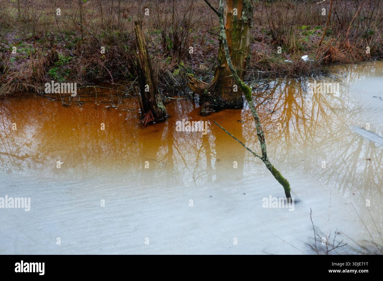 Hunic Water Brown water next to ice: dissolved humic acids lowering the freezing ...