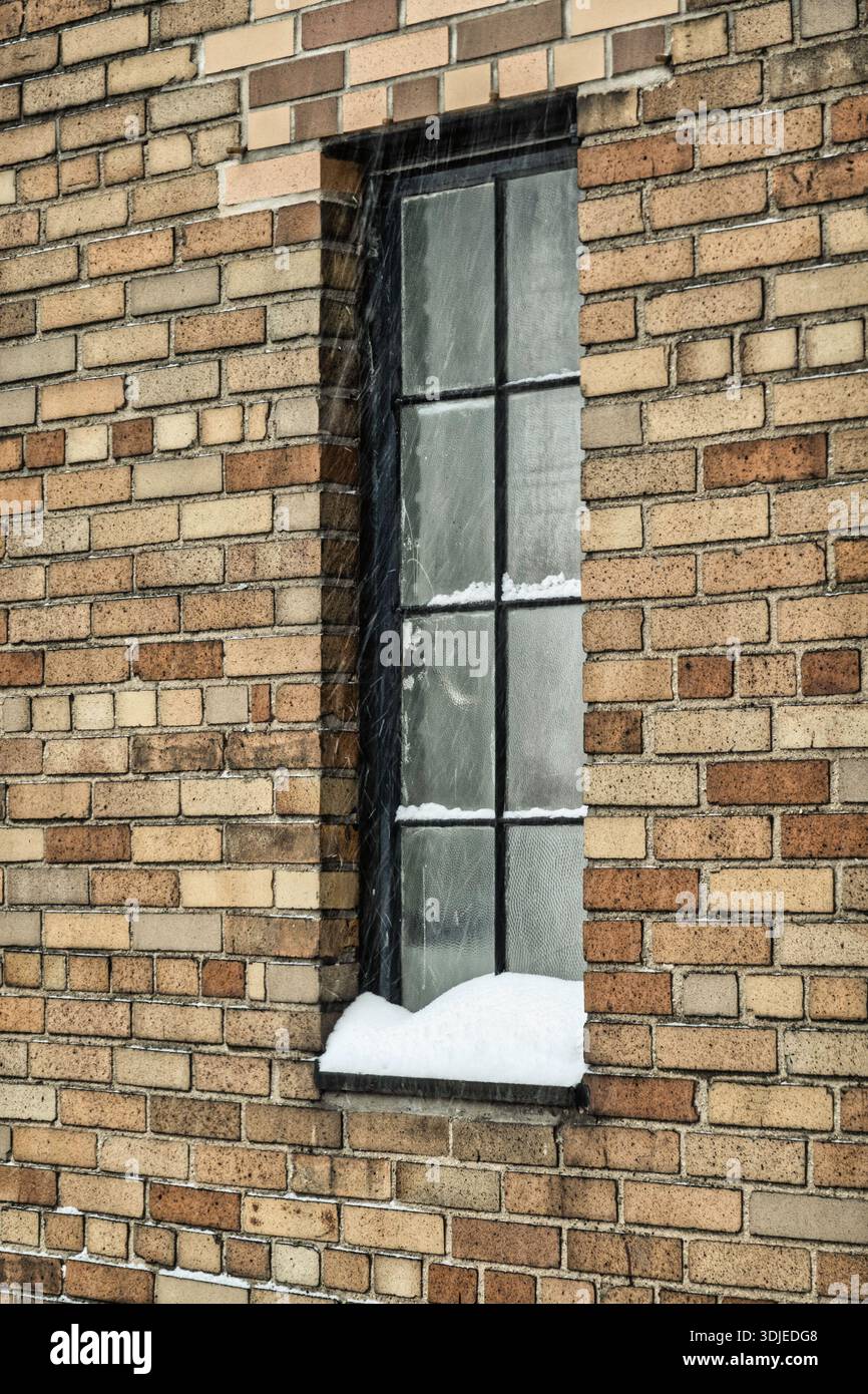 Winter Storm Fern dumped eight inches of snow on Midtown Manhattan, 25 ...