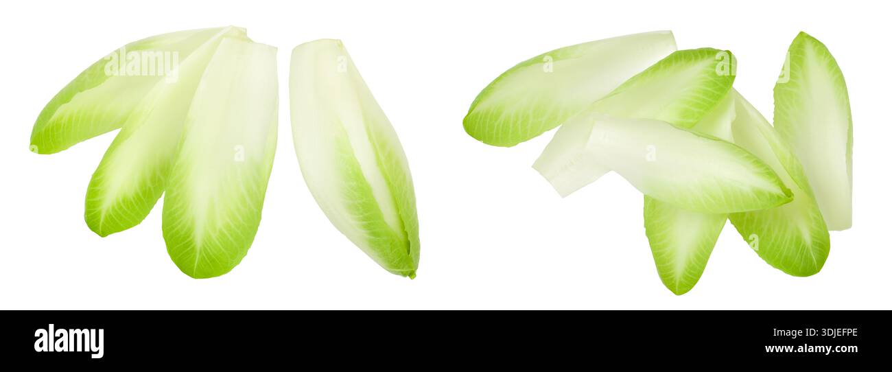 Chicory salad leaves isolated on white background with full depth of field. Top view. Flat lay Stock Photo