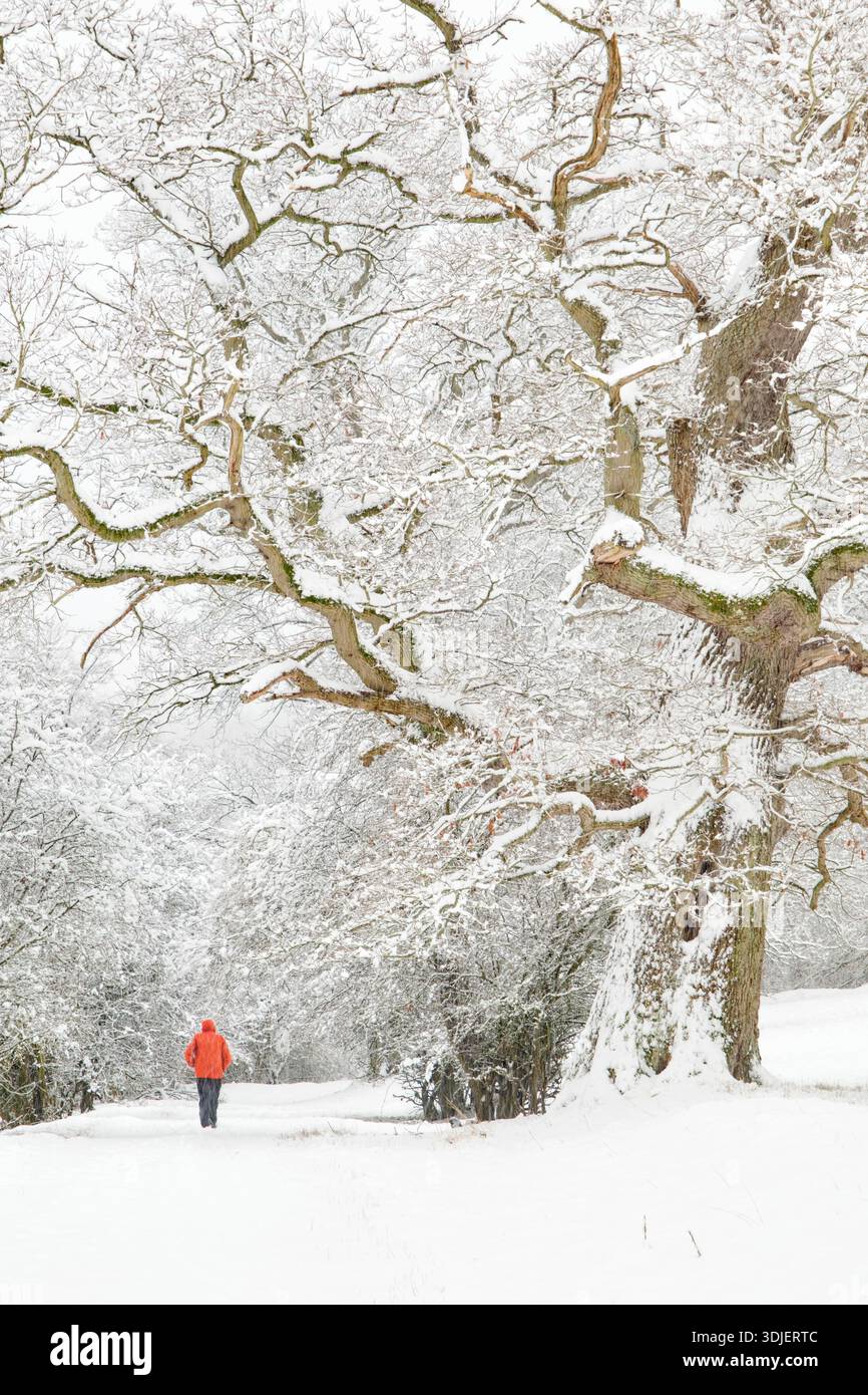 A person in  a red coat in snow Stock Photo