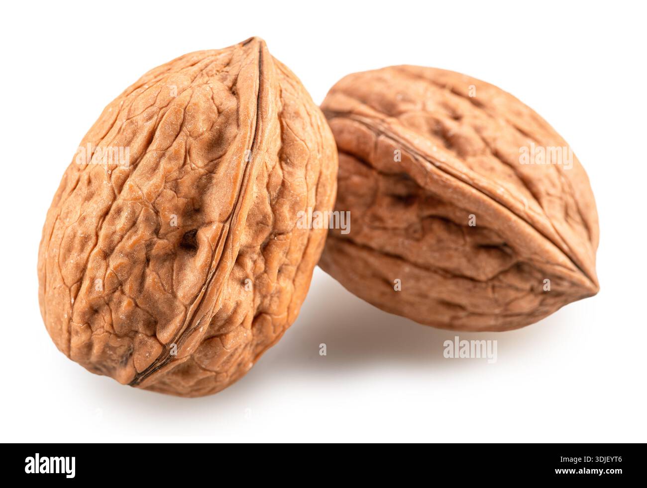 Two whole walnuts isolated on white background. Clipping path. Stock Photo