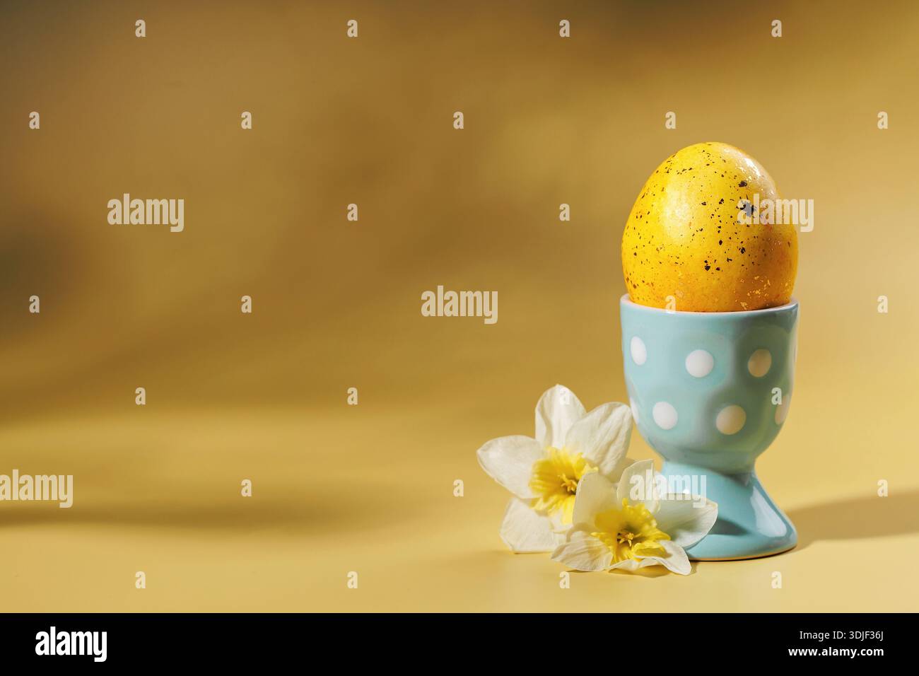 Speckled Easter egg in pastel cup with daffodils on soft background Stock Photo