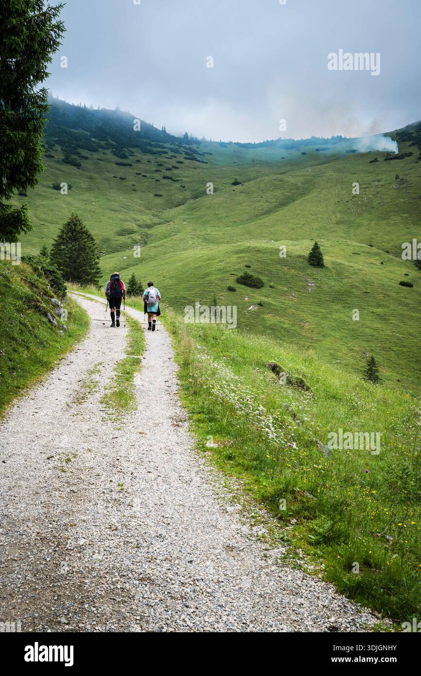 A couple of alpine farmers ascending through alpine meadows with ...