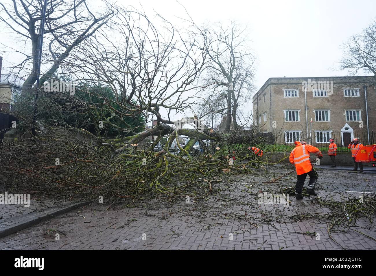 Durham tree fallen rain hi-res stock photography and images - Alamy