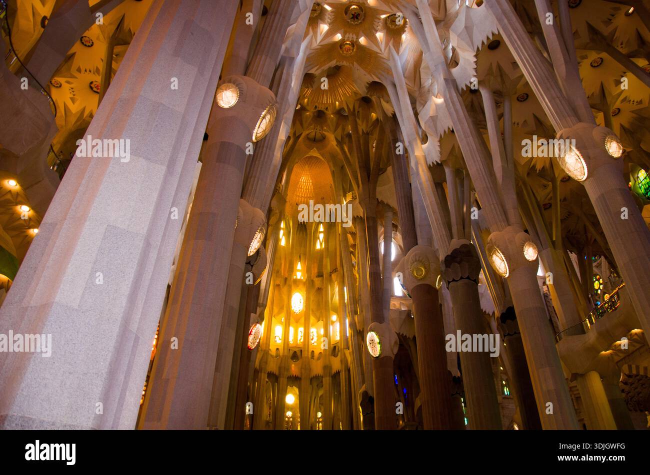 Interior view of Sagrada Familia cathedral columns and ceiling Stock ...