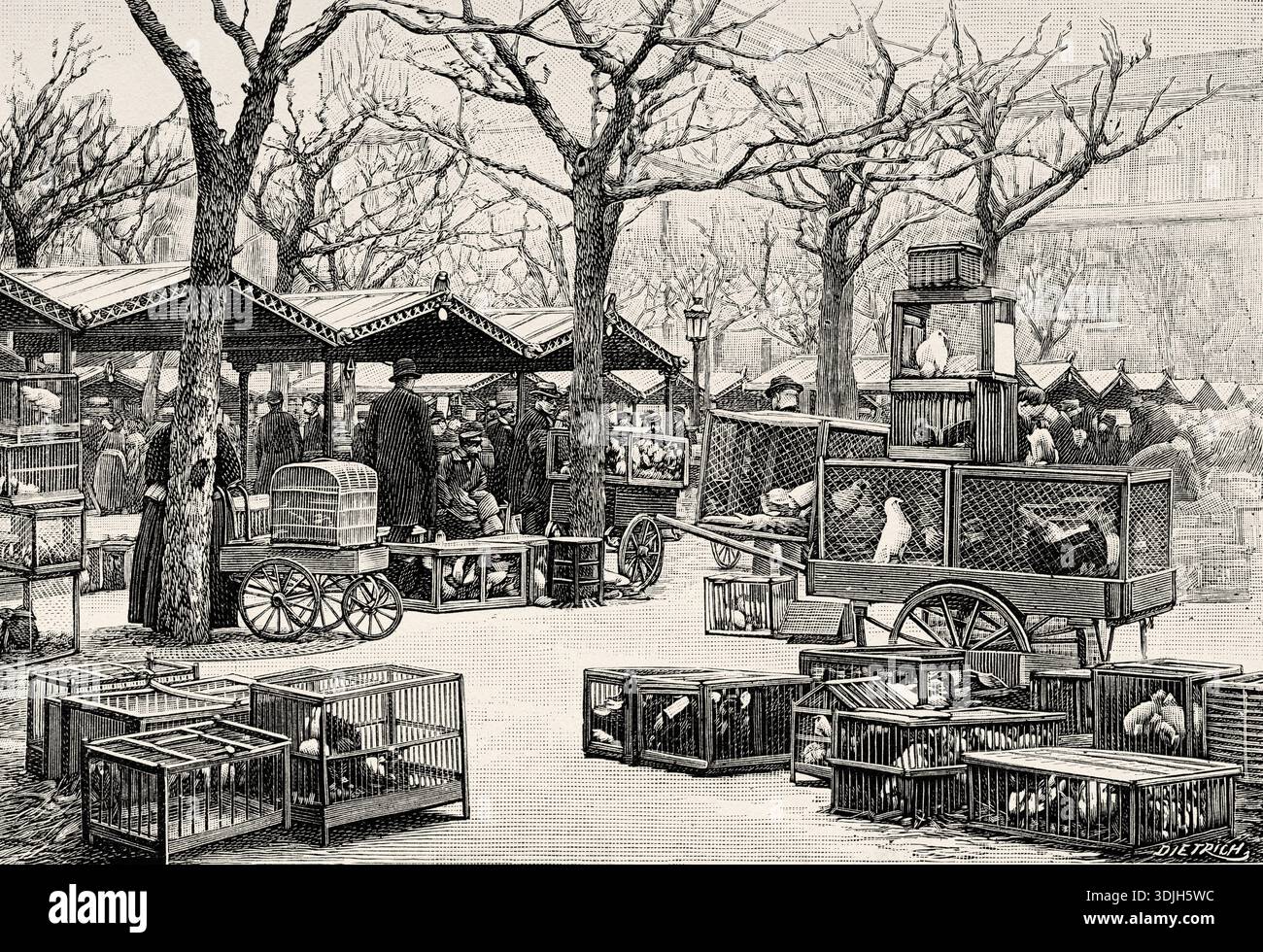 Paris market 19th century hi-res stock photography and images - Alamy
