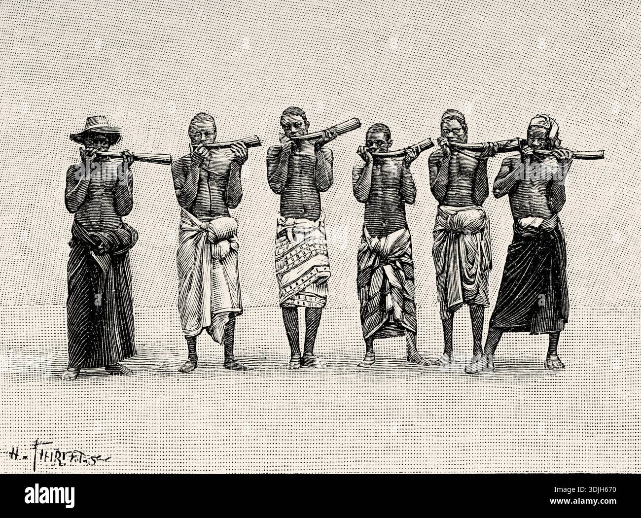 Affiche - Tirailleurs Sénégalais - Sapiens