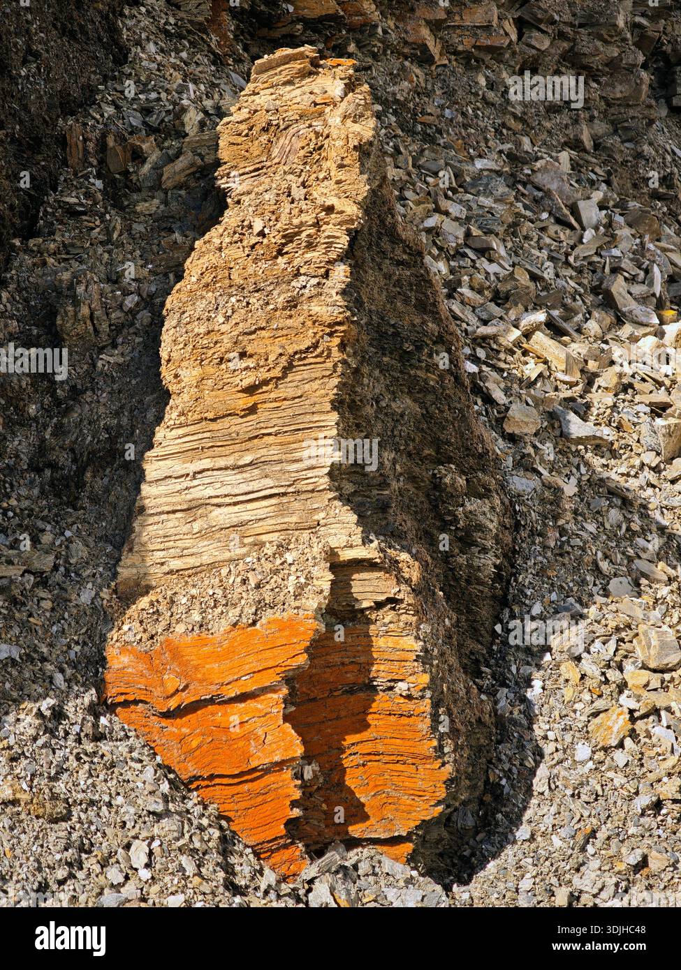 Natural rock and stone surface texture from the Himalayas, highlighted ...