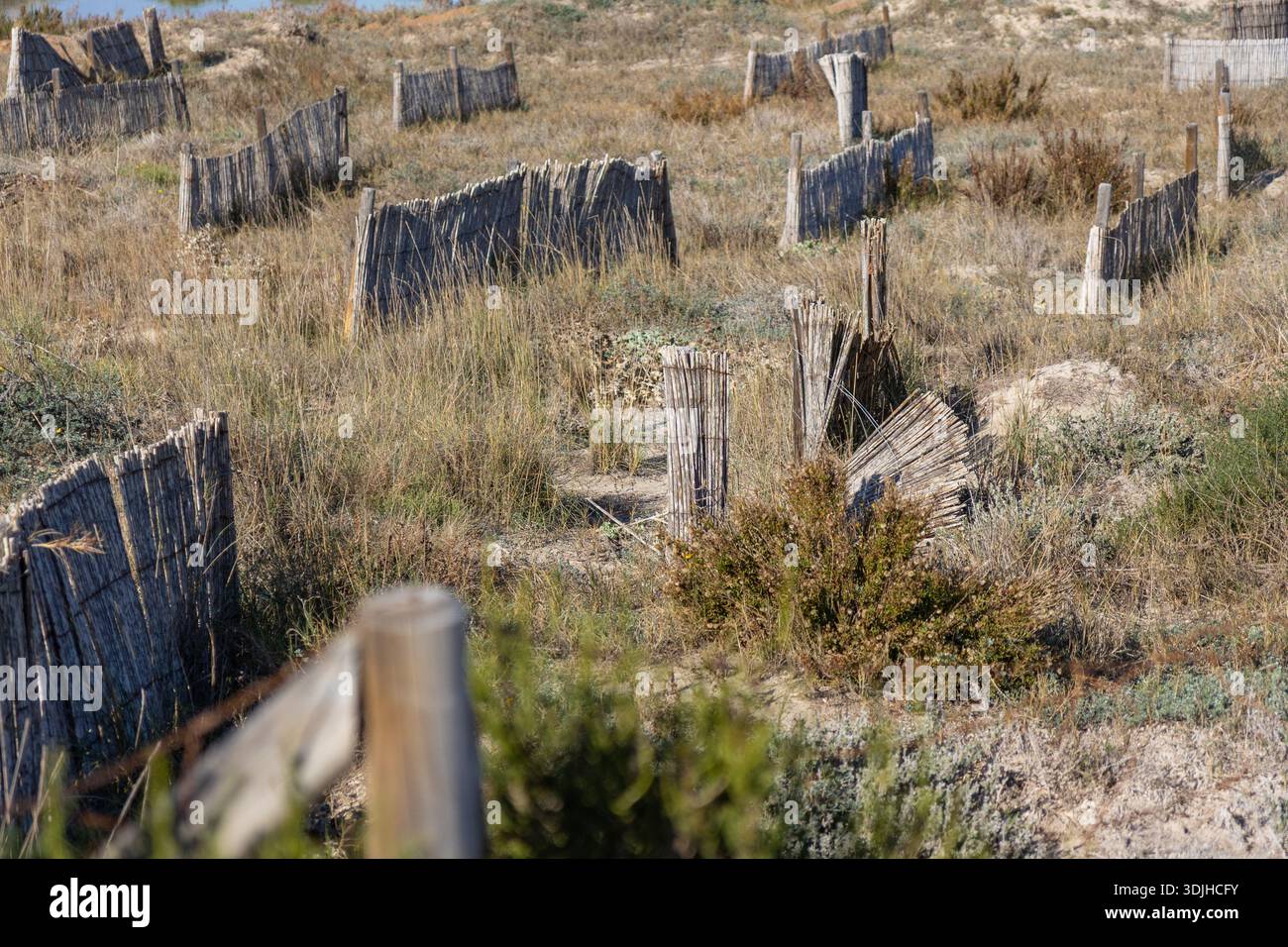 Sustainable coastal management hi-res stock photography and images - Alamy