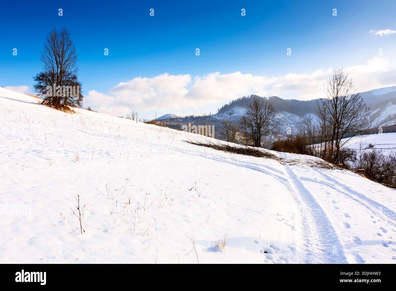 winter landscape with snow covered forested hills. carpathian mountains in cold weather under blue sky. rural scene on a sunny day. background for chr Stock Photo
