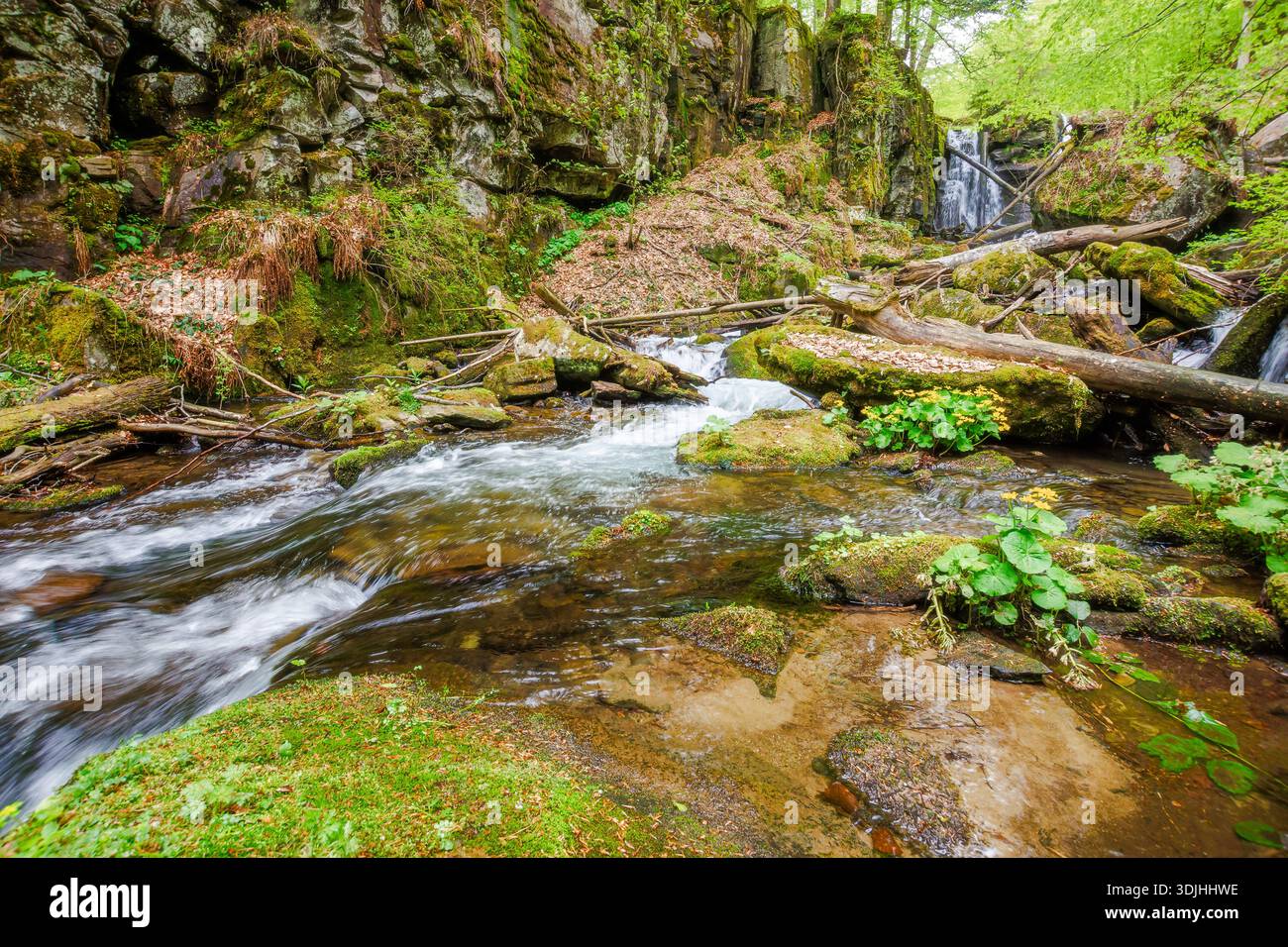waterfall voievodyn in spring forest. beautiful cascade near schonborn park in perechyn district of ukraine. outdoors adventure in green environment o Stock Photo
