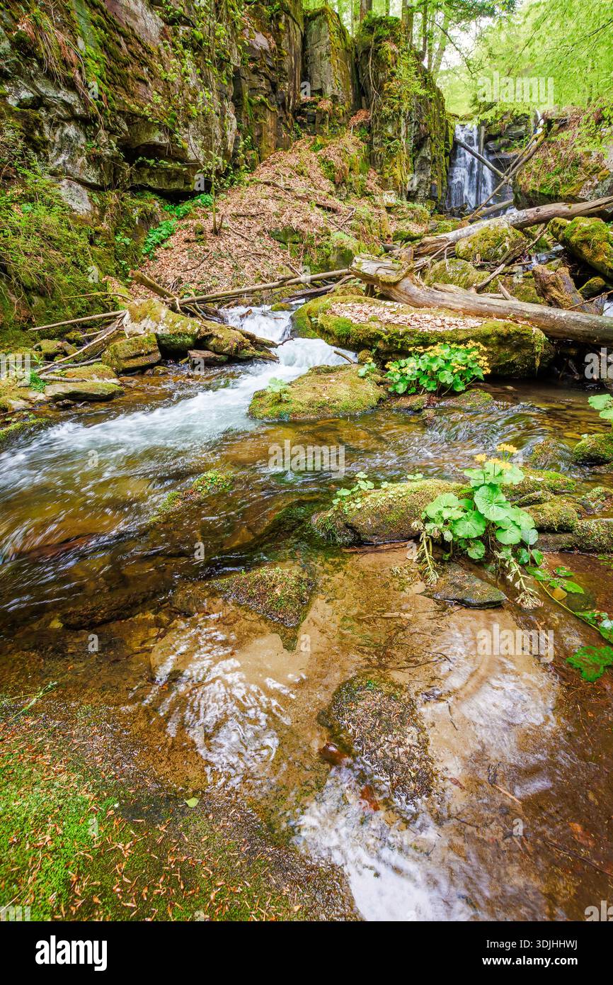 waterfall voievodyn in spring forest. beautiful cascade near schonborn park in perechyn district of ukraine. outdoors adventure in green environment o Stock Photo