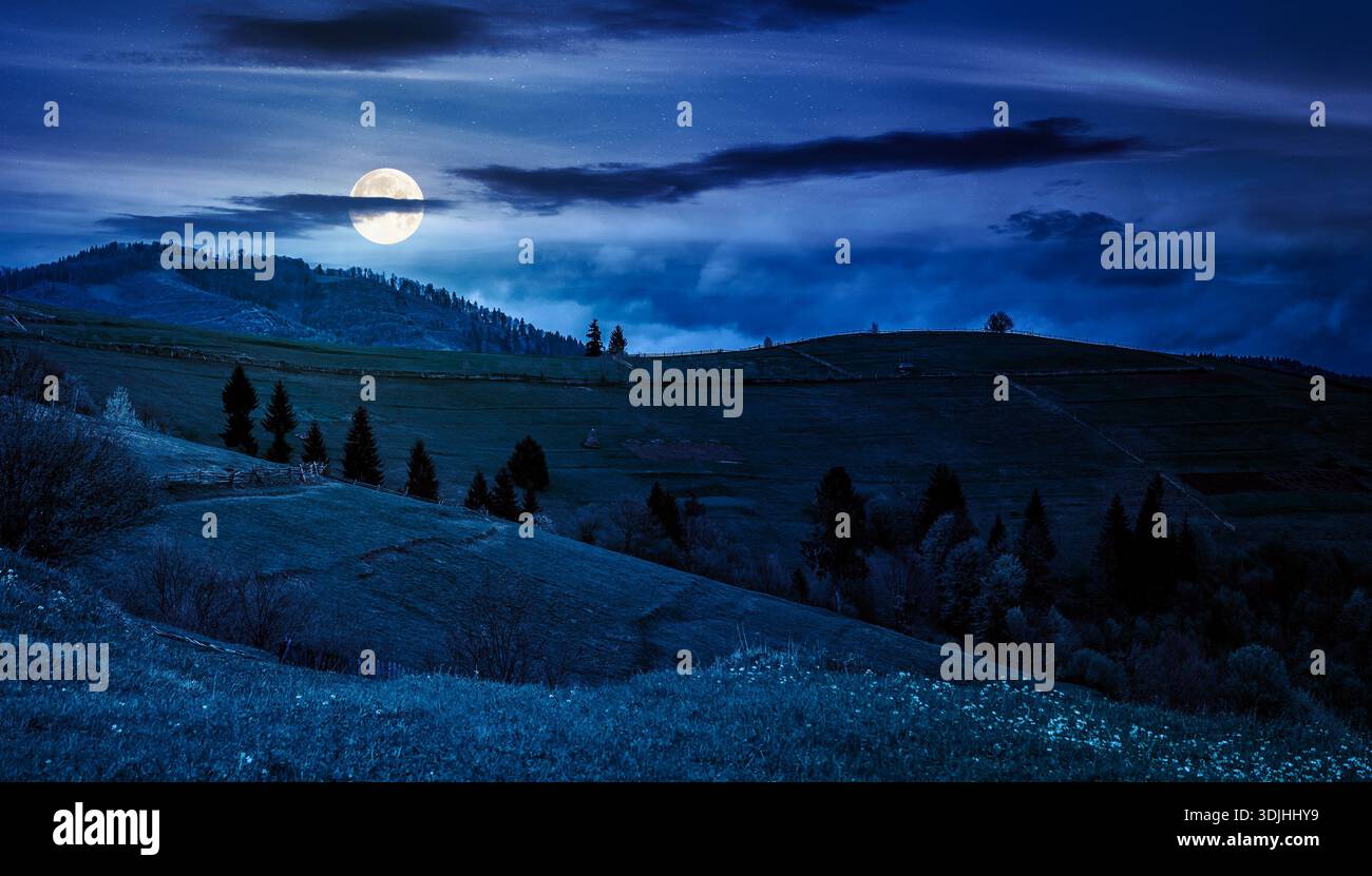 scenery with grassy rural fields near the forest on hill at night. countryside landscape on cloudy weather in spring full moon light. background for f Stock Photo