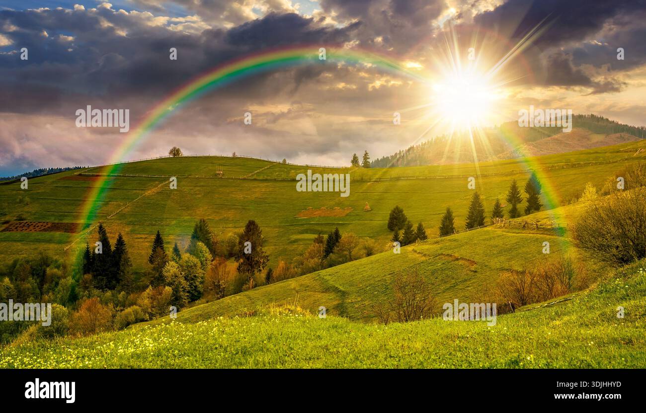 scenery with grassy rural fields near the forest on hill at sunset. countryside landscape on cloudy weather in spring in evening light. storytelling c Stock Photo