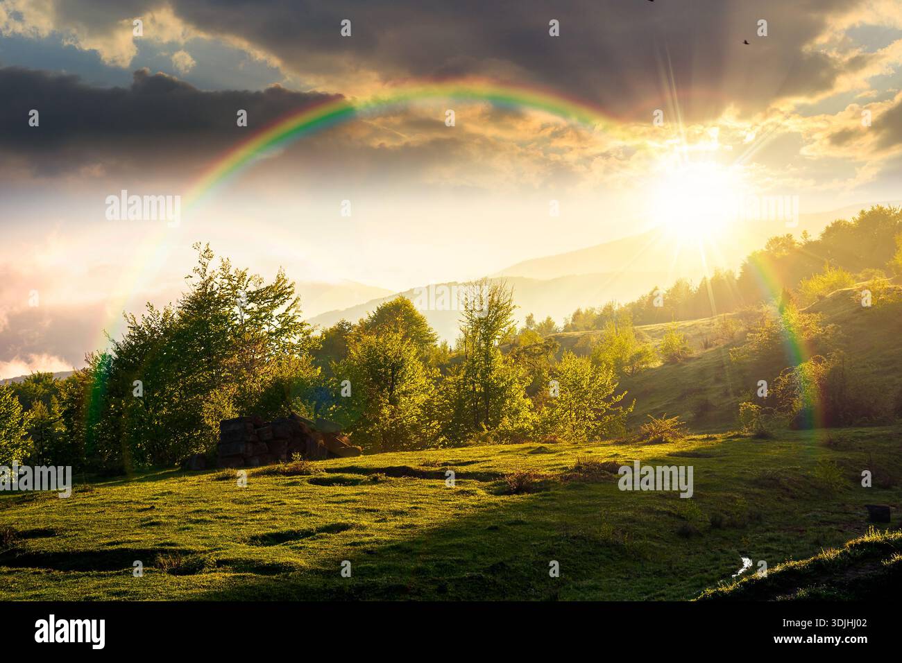 mountain landscape in fog at sunset. lush green alpine meadows in spring in evening light. dramatic view in to the valley. blue sky with clouds. timel Stock Photo
