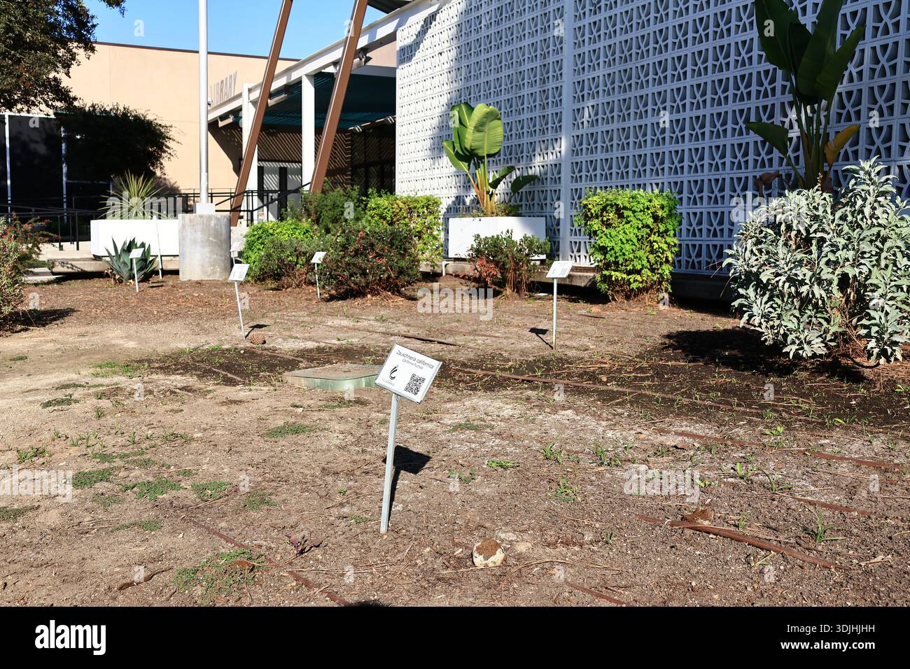 Commerce, California: Library Learning Garden featuring California ...