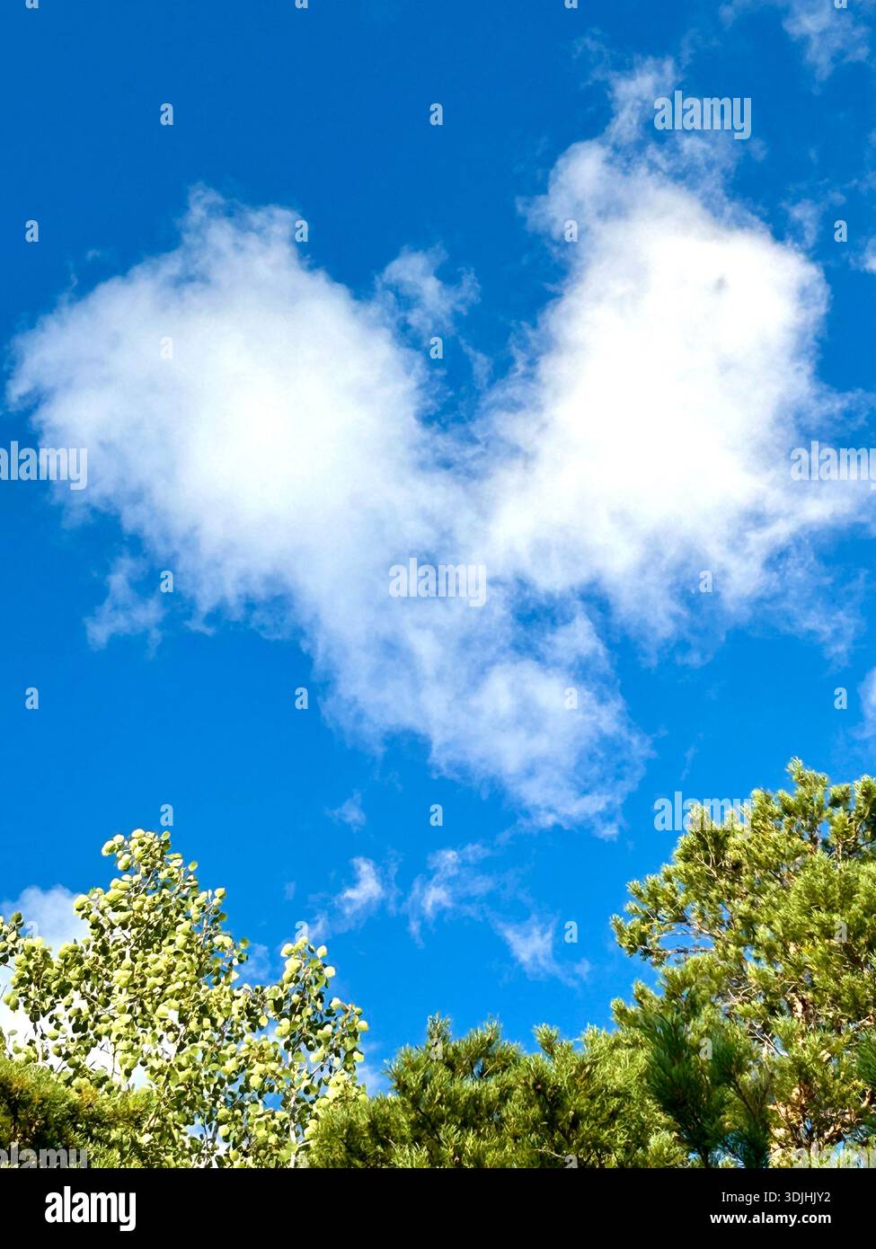 Heart shaped cloud in the sky Stock Photo